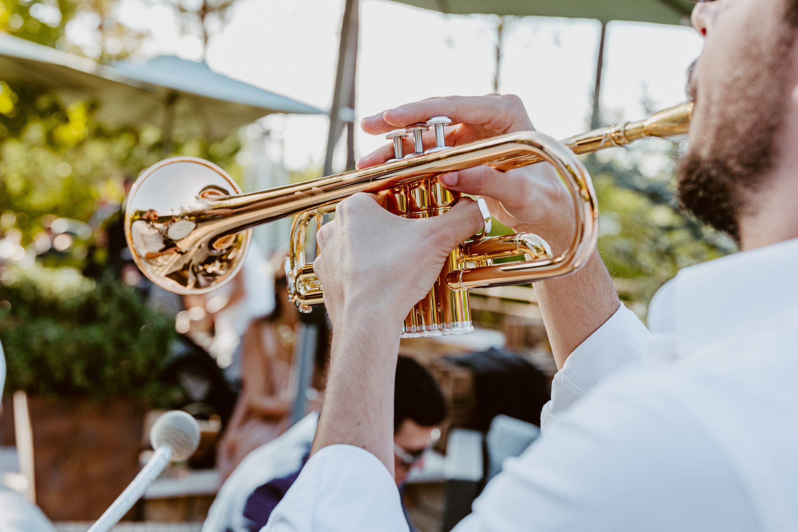 Galeria e Filme Casamento Quinta Júlia dos Ovos. Luxury Wedding Photographer & Cinematography | Ricardo & Mary Pictures