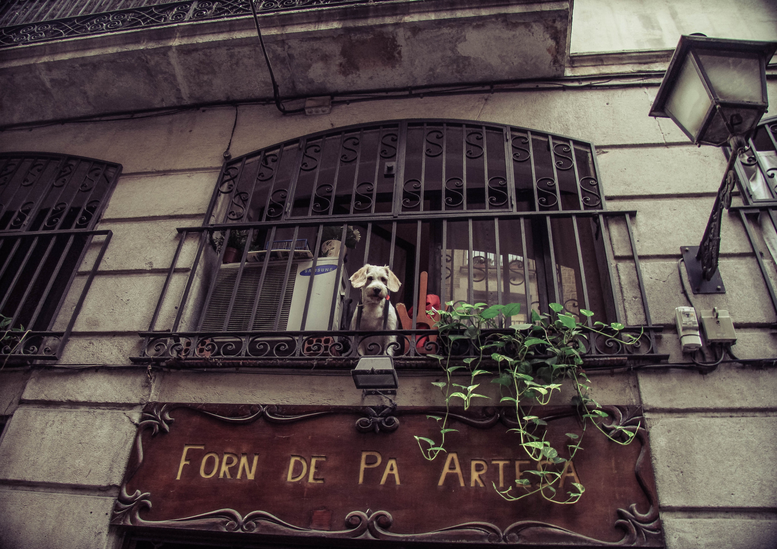 ИСПАНИЯ. Стрит-фотография, полная абсурда, идиотизма и красоты