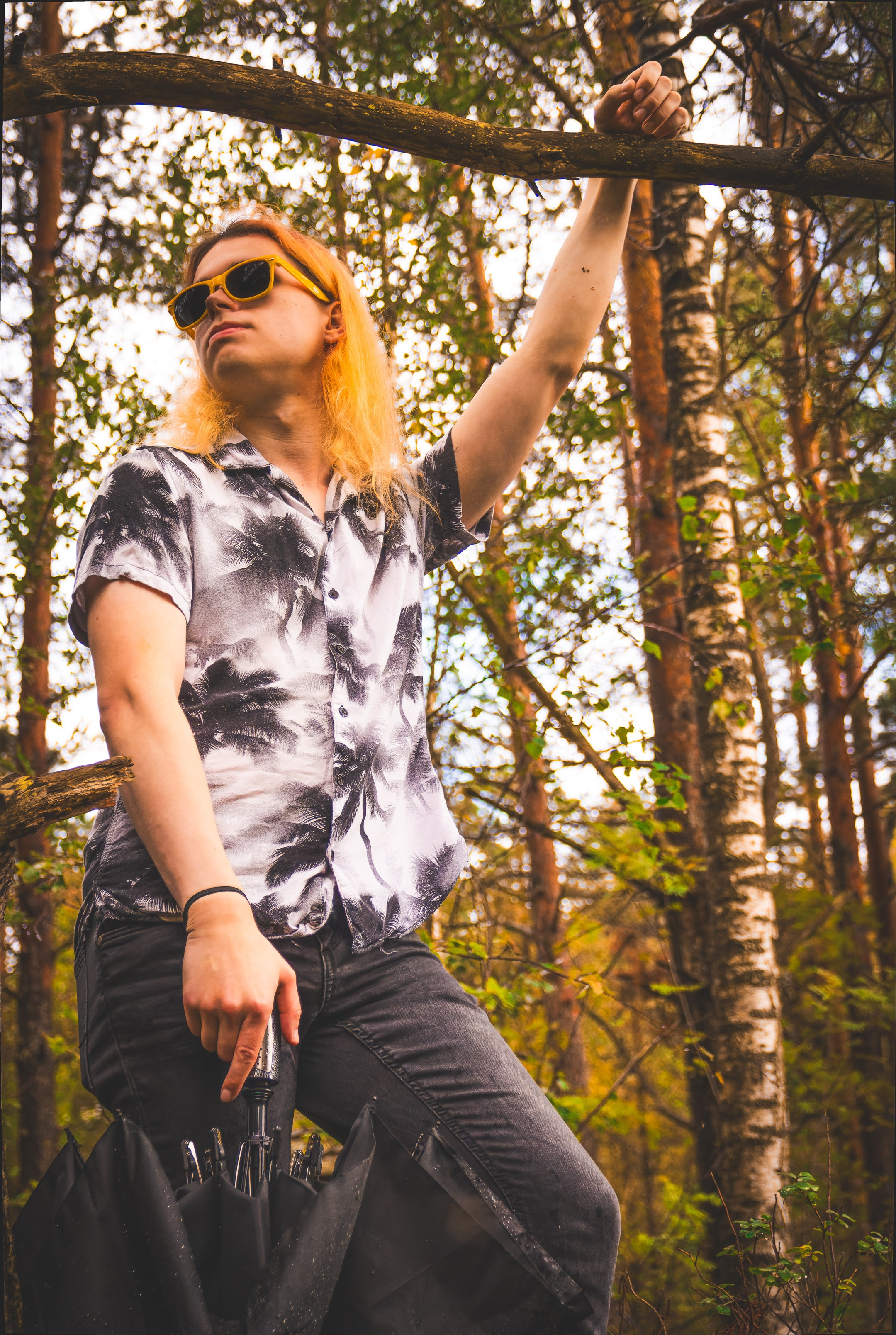 Mets, vihm ja jahedus (Dimitry). Nebula 25 — Fotod teie hingele