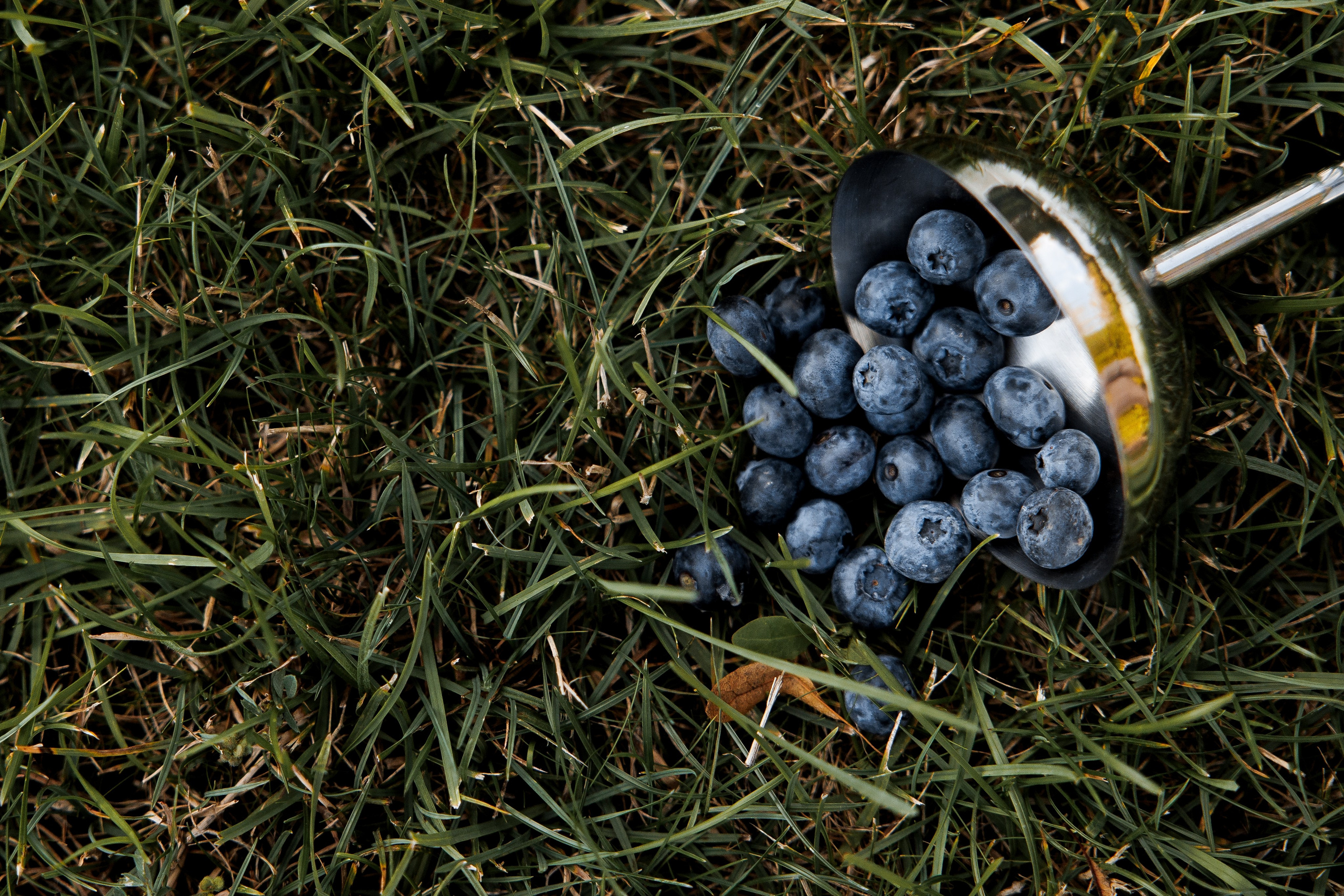 G+Q. Свадебный фотограф Каледич Тимофей