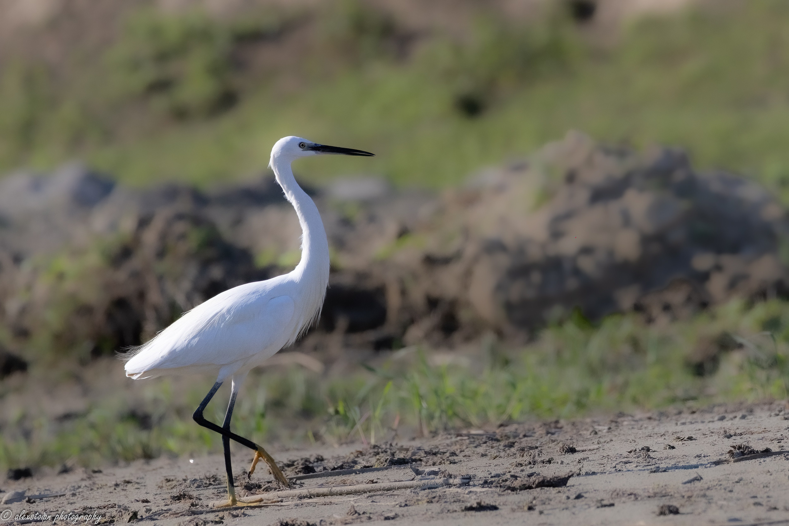 Delta Dunarii. Http://www.alexphoto.ro