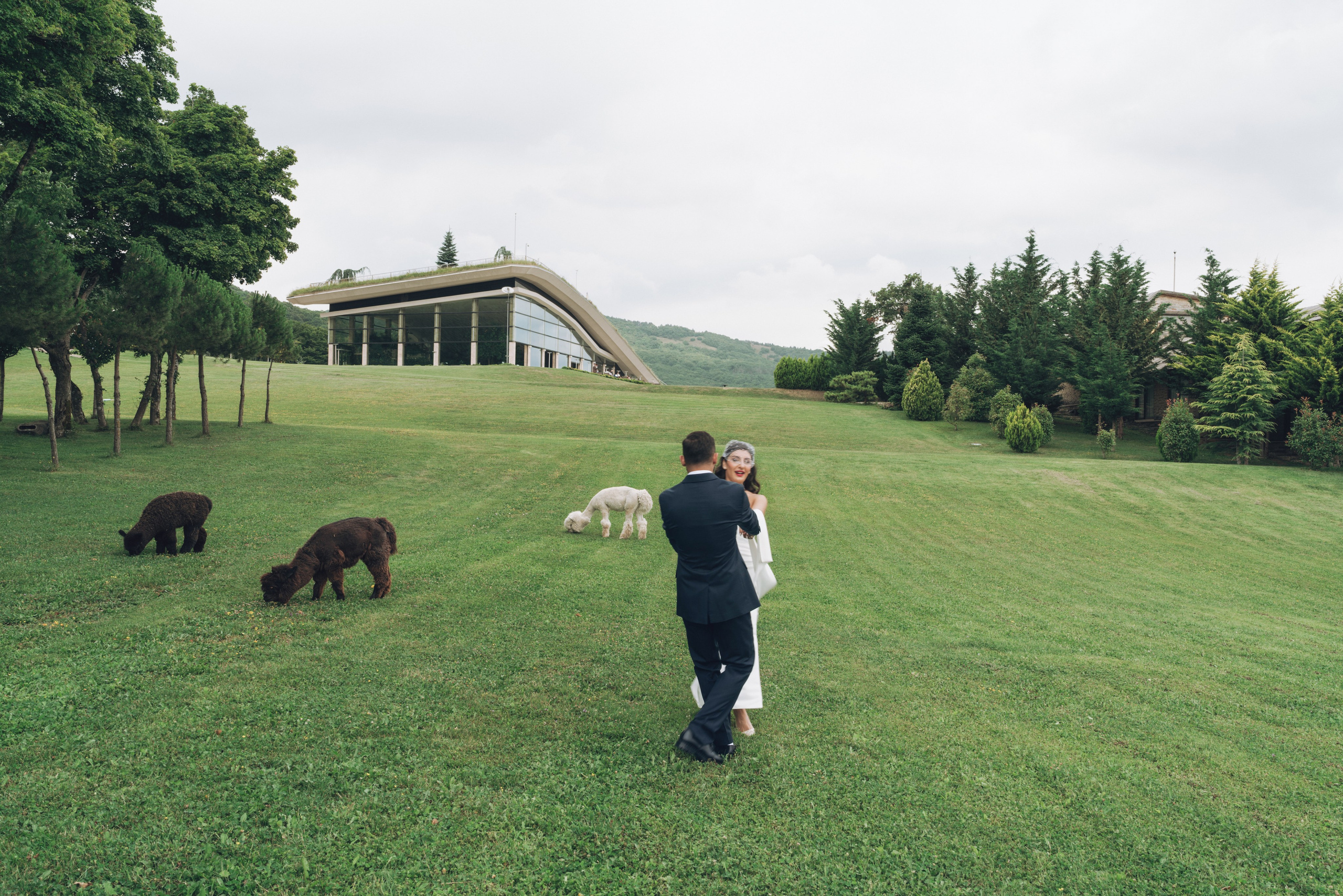 Wedding Bioli. Create your own history with Pierre Studio