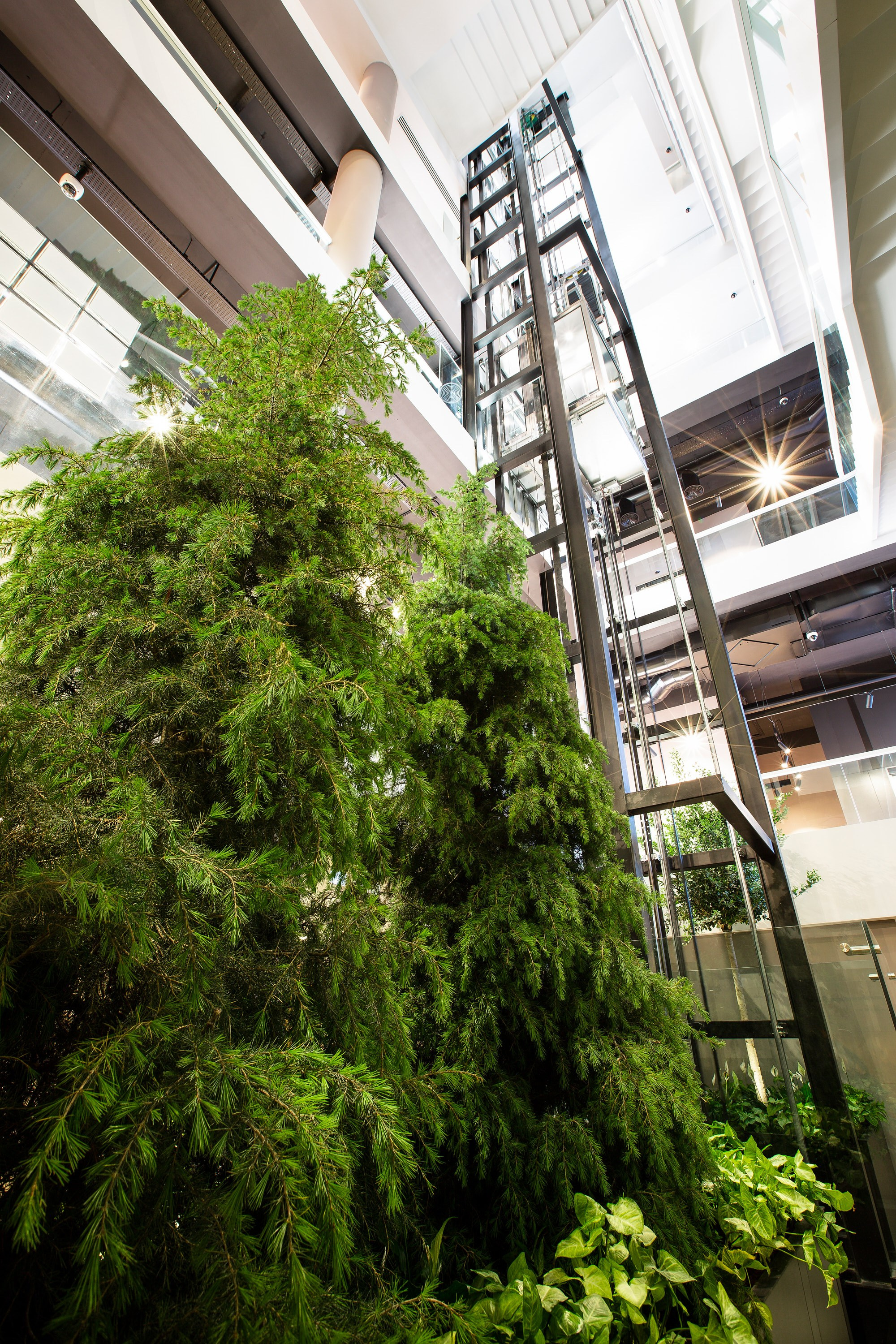 D.O.S.T. municipal building. Elmar Mustafazadeh Photography