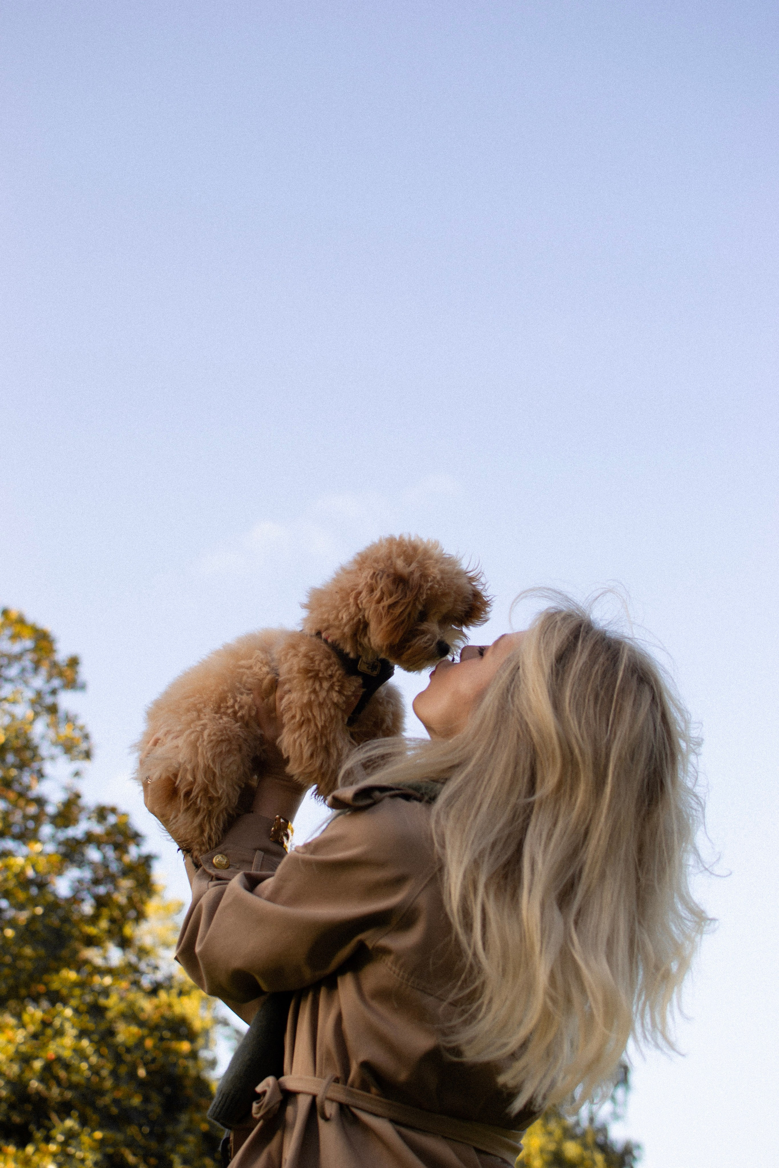 Barney, Nastya et Kolya. Photographe animalier à Paris Anna Pereira