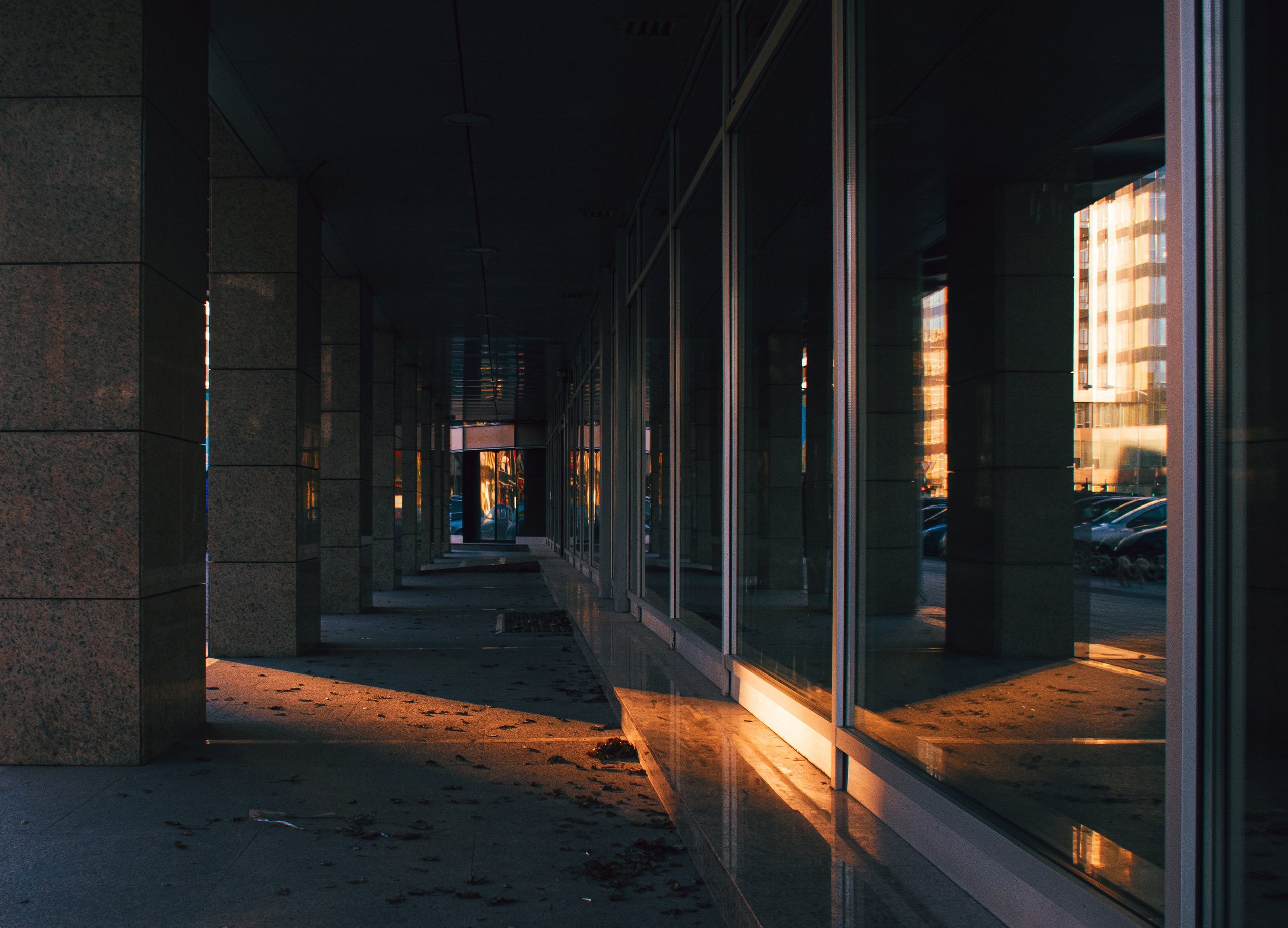 My angel of view to Novi Sad city, Serbia. Victoria Fedoseenko. Photographer from Serbia