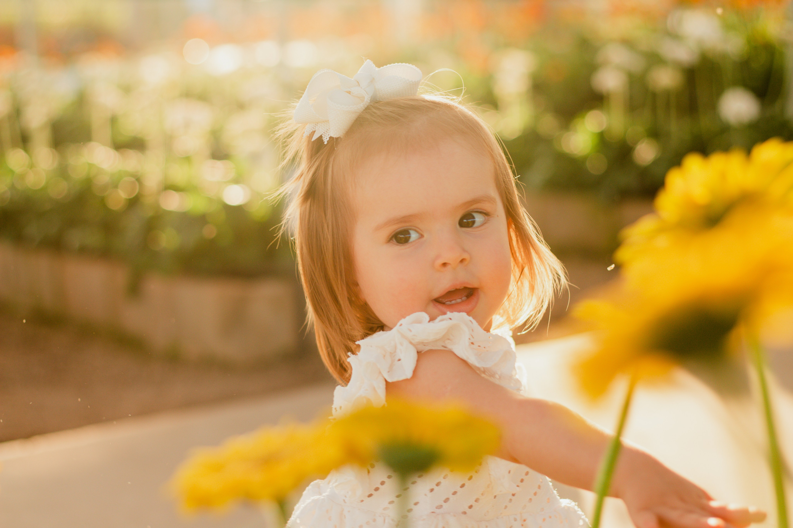 Ensaio ao ar livre com mãe e filha entre gérberas em Holambra, capturado com luz natural dourada no pôr do sol.