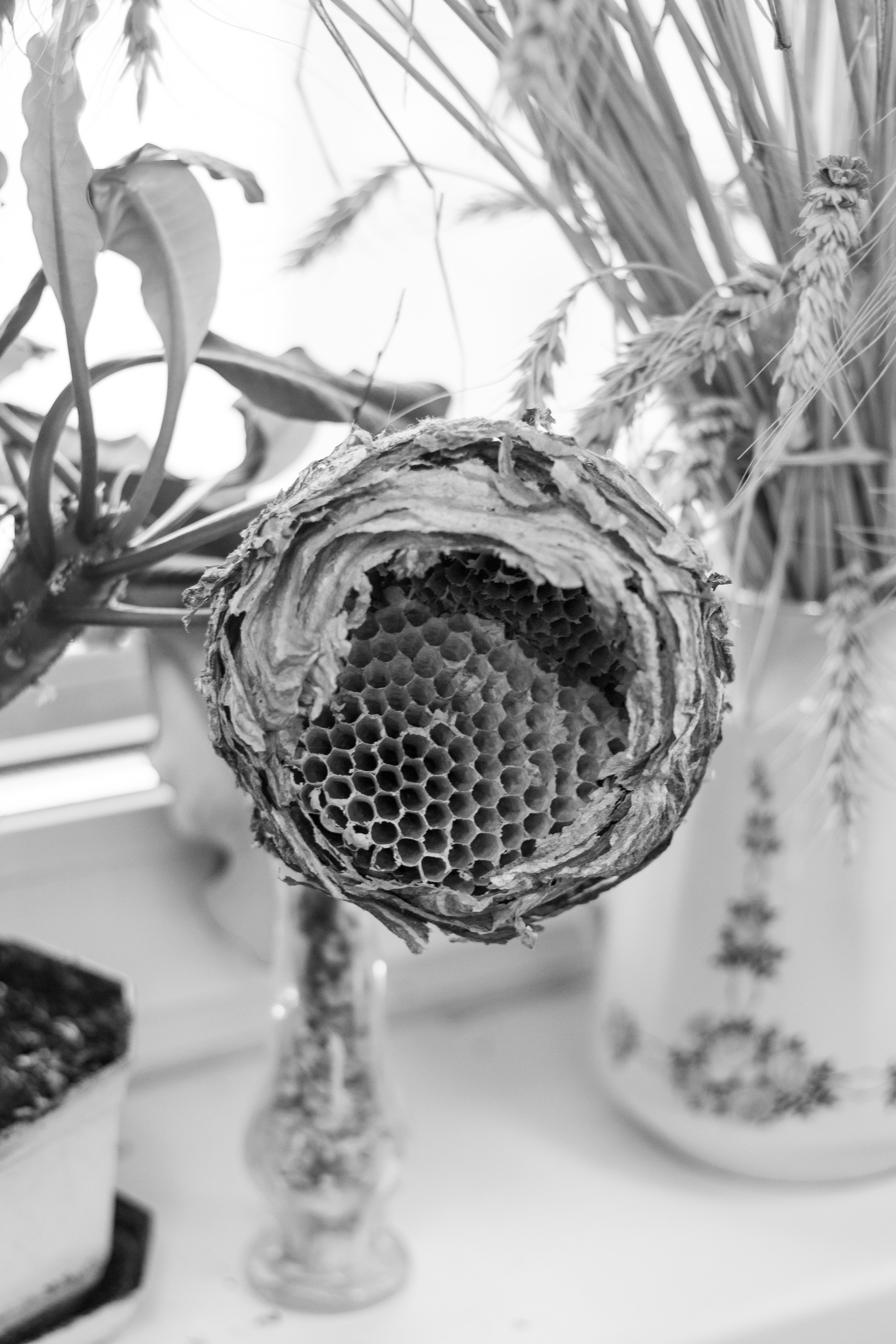 Кто сказал, что будет легко (в процессе). Екатерина Федорова