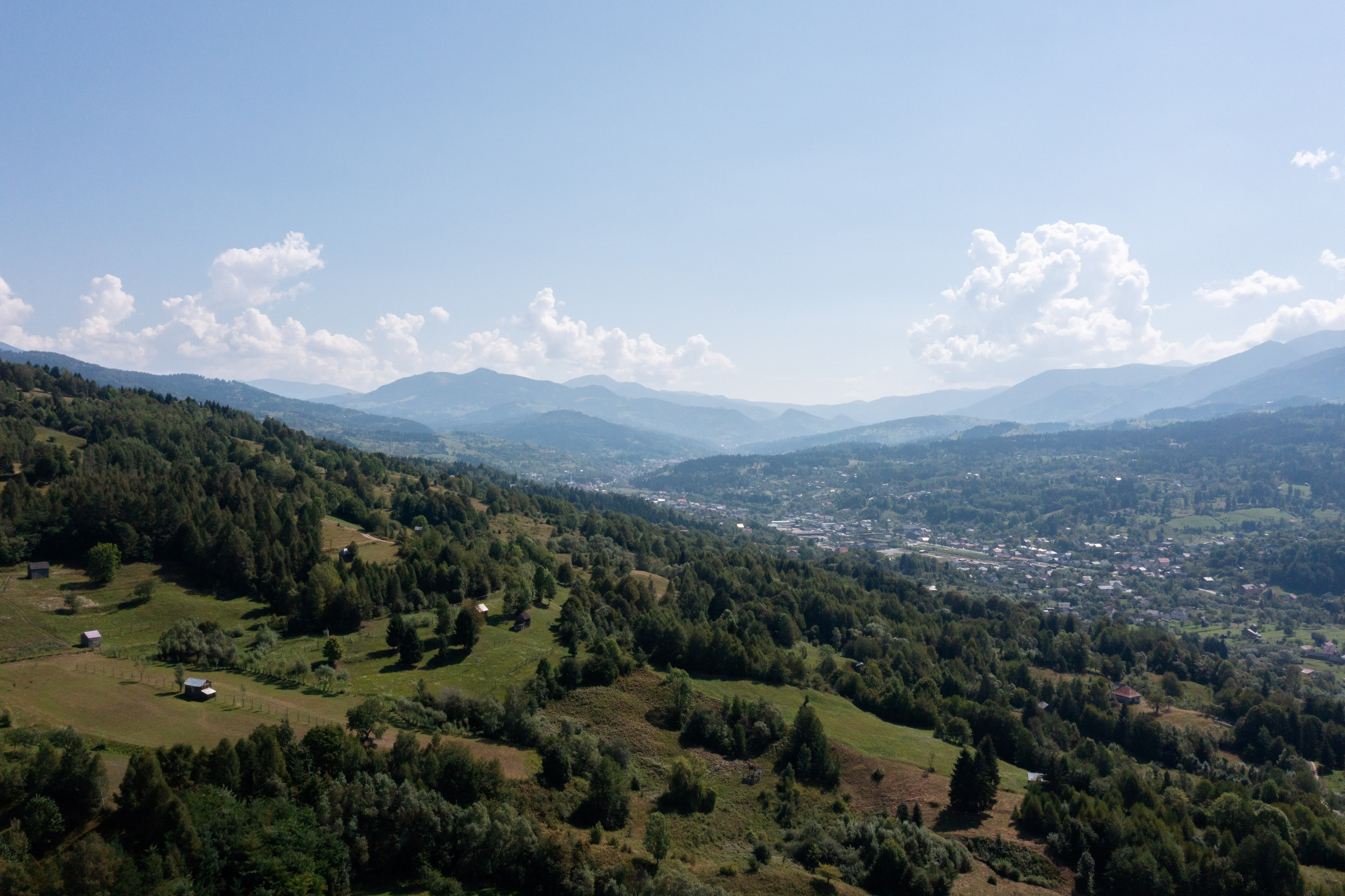 Cosmin & Anamaria. Studio Timis