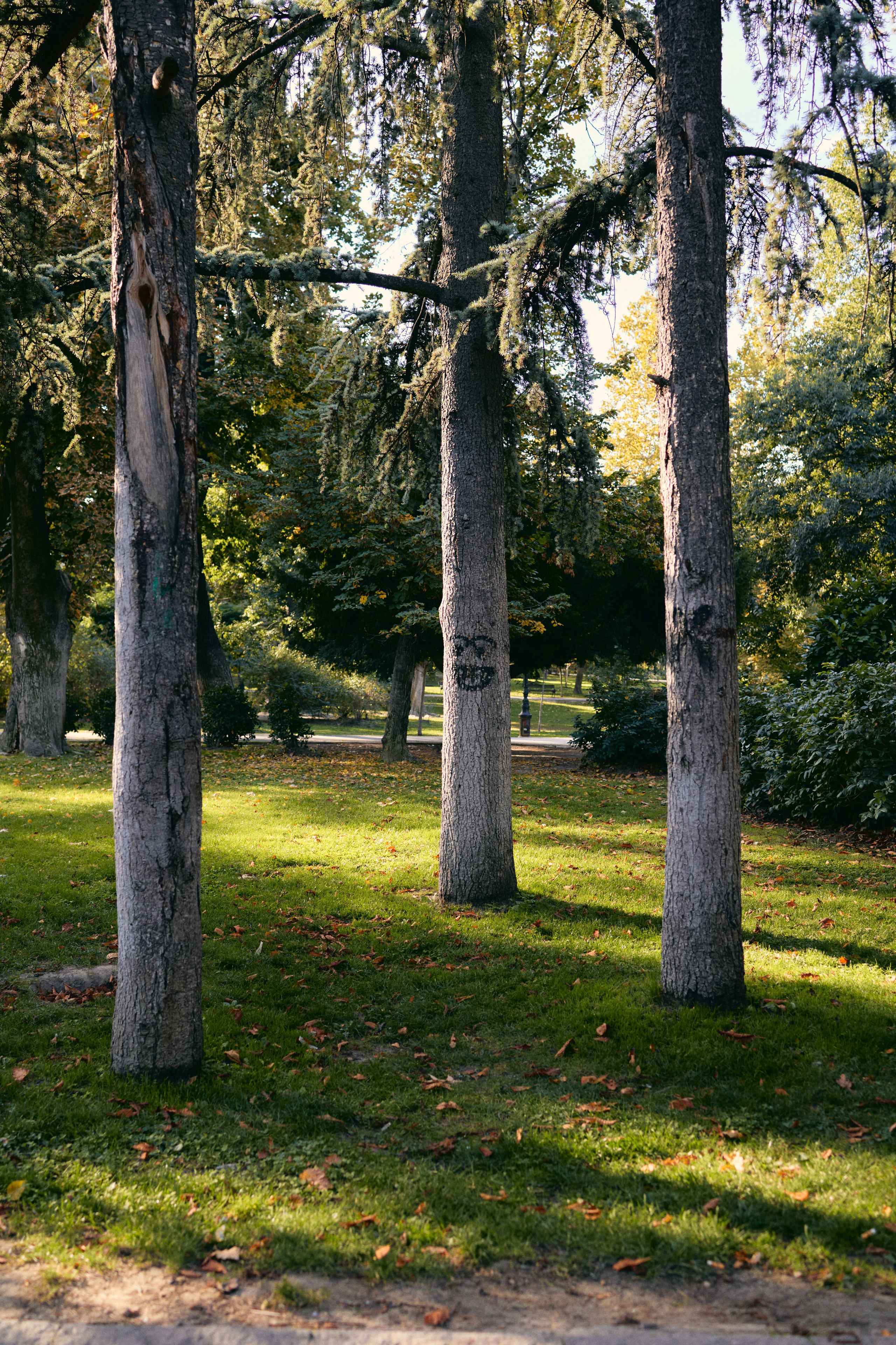 Рита. Анастасия Еремина | Фотограф в Сербии | Персональные и бизнес-фотосессии в Белграде и Нови Саде