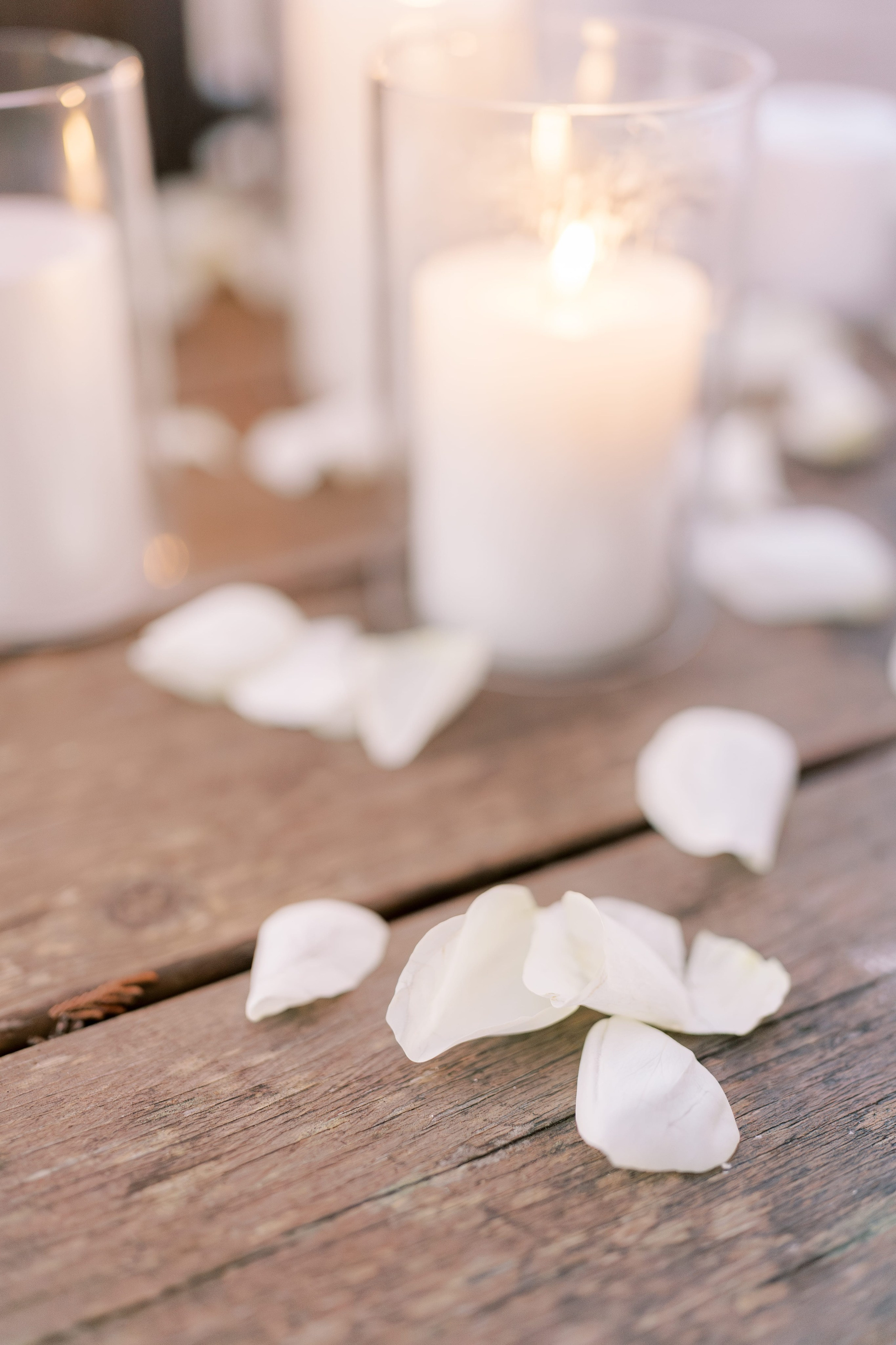 Proposal. January 2025. Seabeck, Washington State. EVAN ARISTOV WEDDING PHOTOGRAPHY — Seattle Wedding Photographer