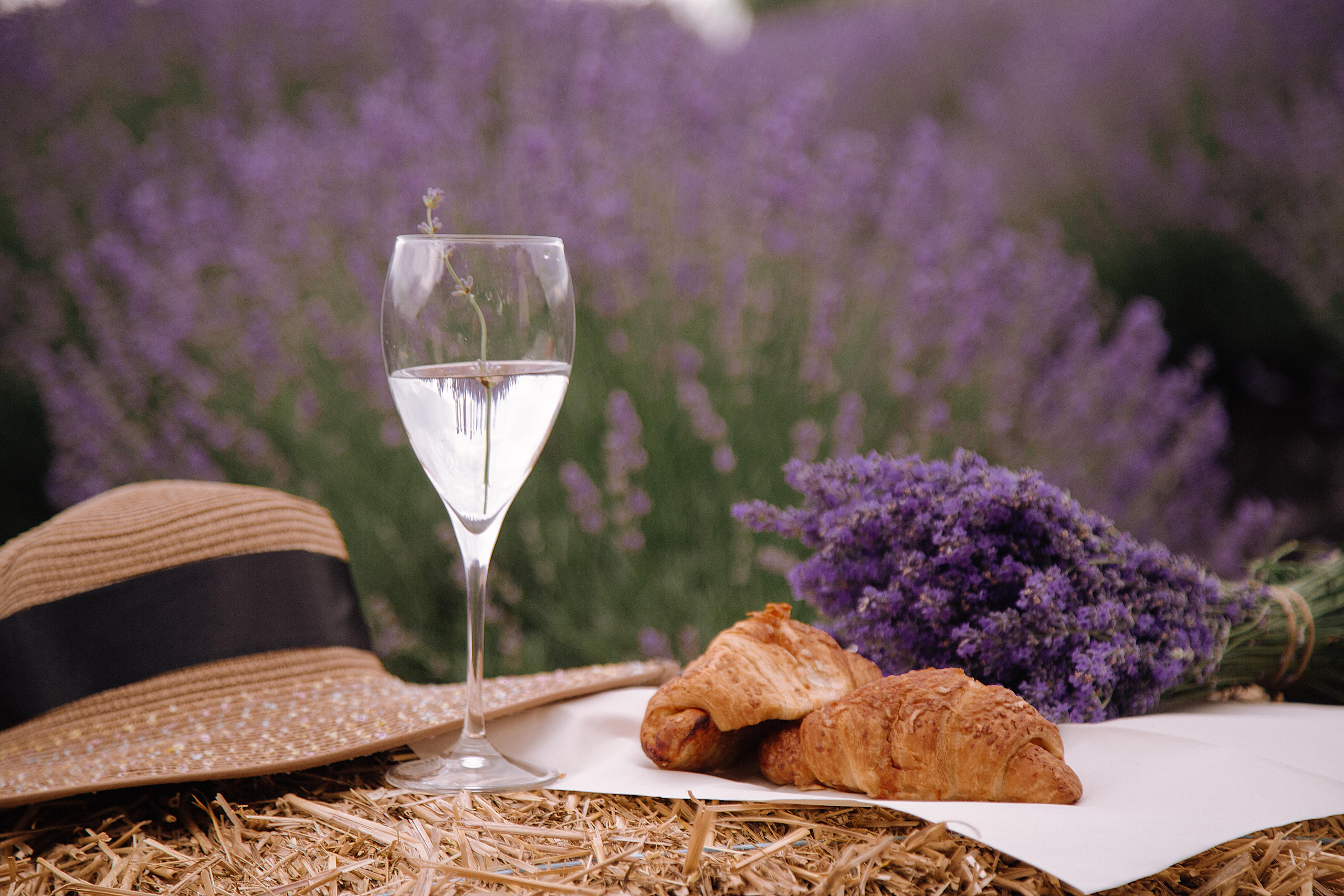 Фотосессия в Лаванде. Фотограф в Кишинёве Ольга Церульник