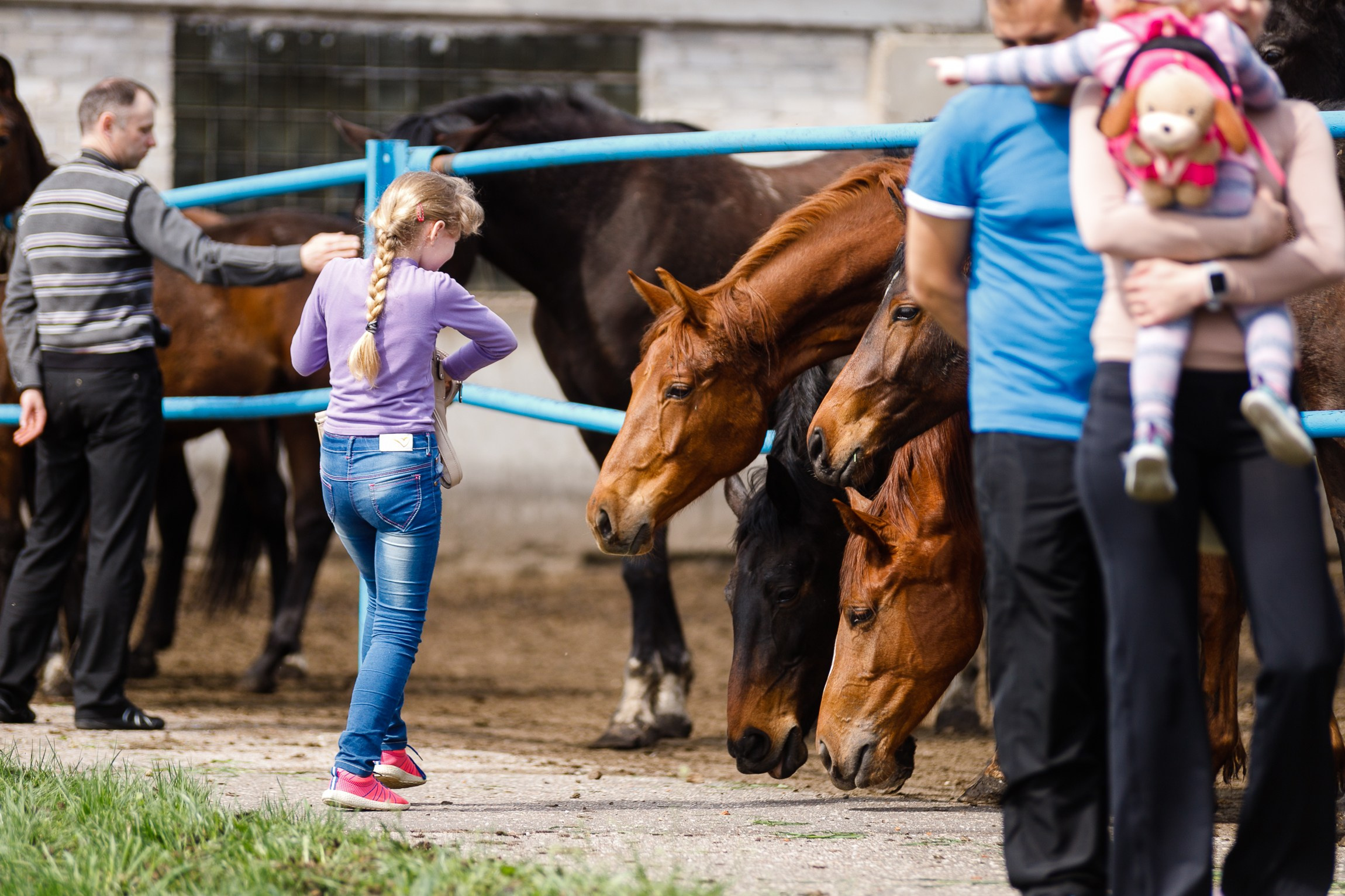 Horse winter games. Kaja | fotograf we Wrocławiu | ludzie i psy