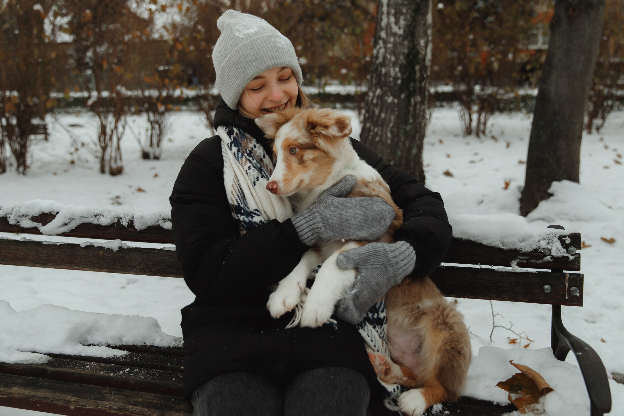 Fotografia psów Wrocław. Kaja | fotograf we Wrocławiu | ludzie i psy