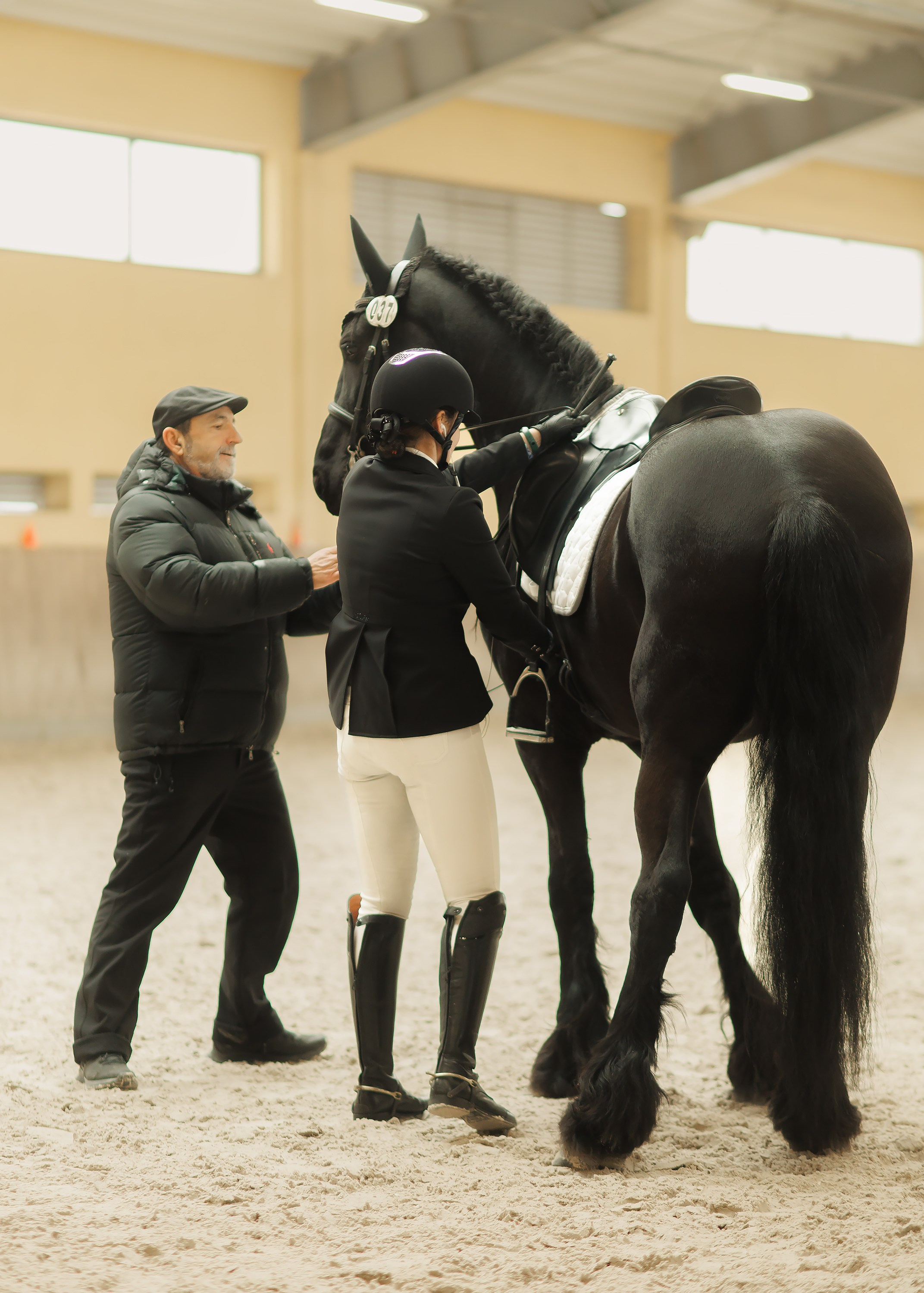 Fotografia koni Wrocław \ ujeżdżenie, Partynice. Kaja | fotograf we Wrocławiu | ludzie i psy