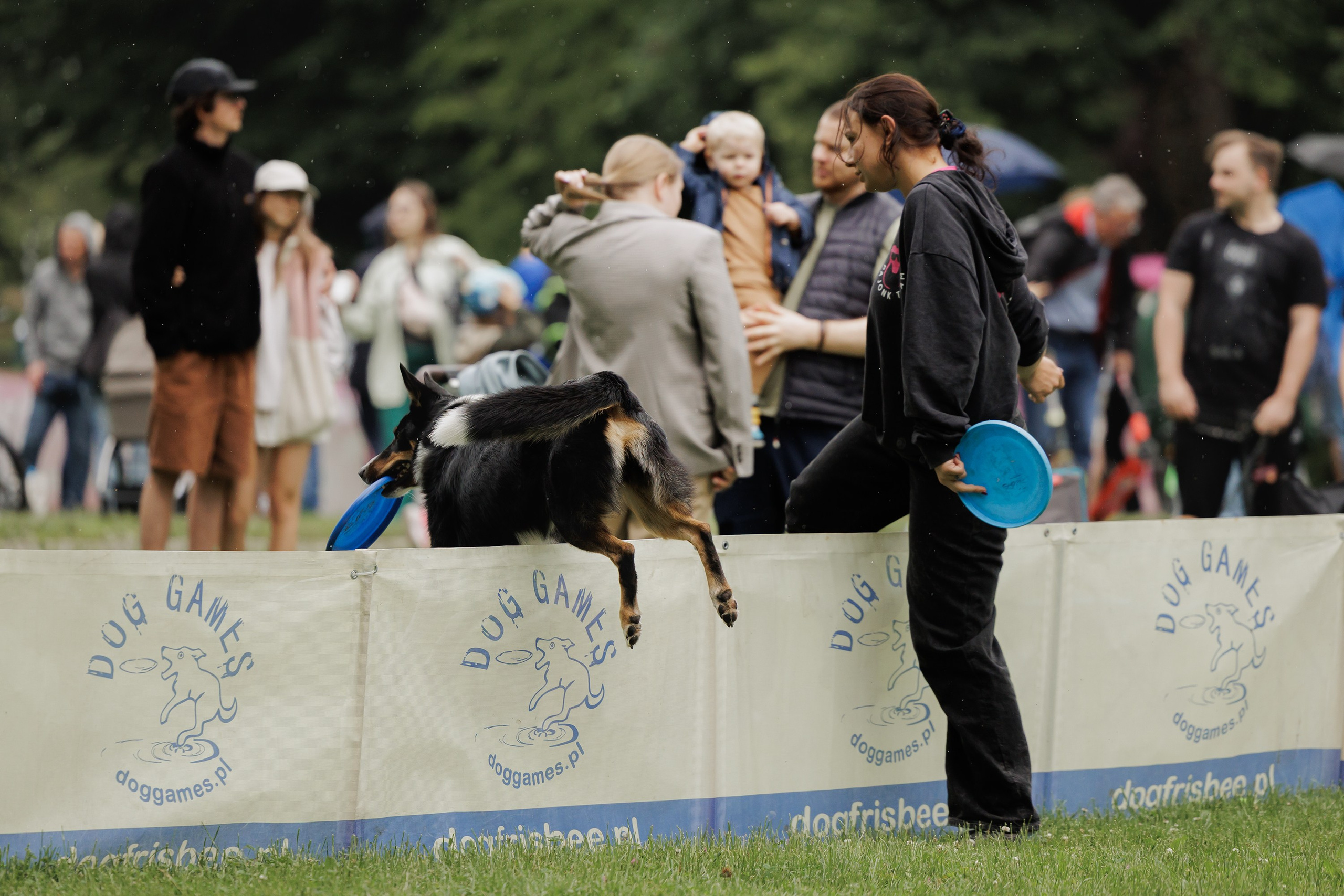 Latające psy, Wrocław'25. Kaja | fotograf psów we Wrocławiu