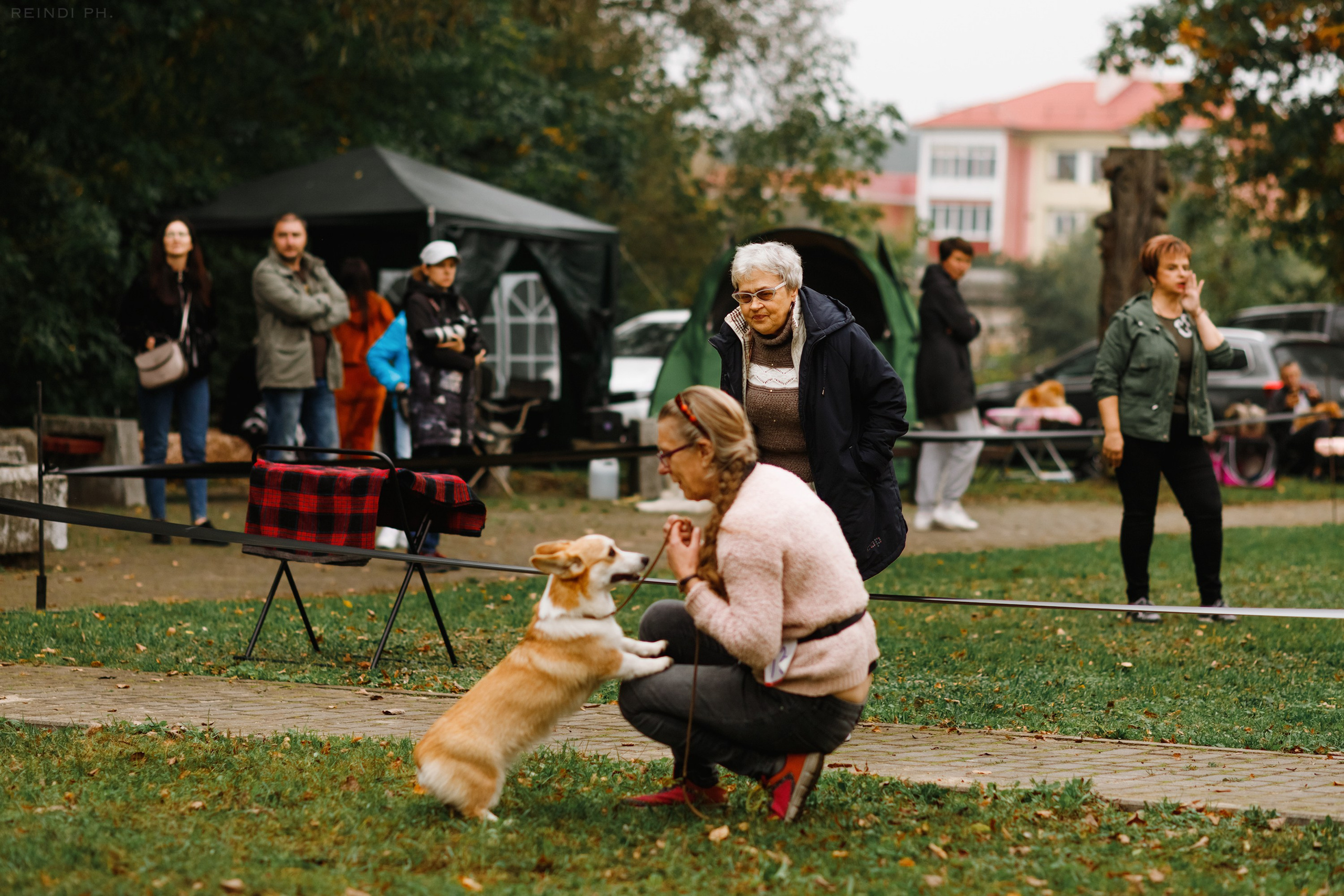 «Argus» dog show in Brest. Kaja | fotograf we Wrocławiu | ludzie i psy