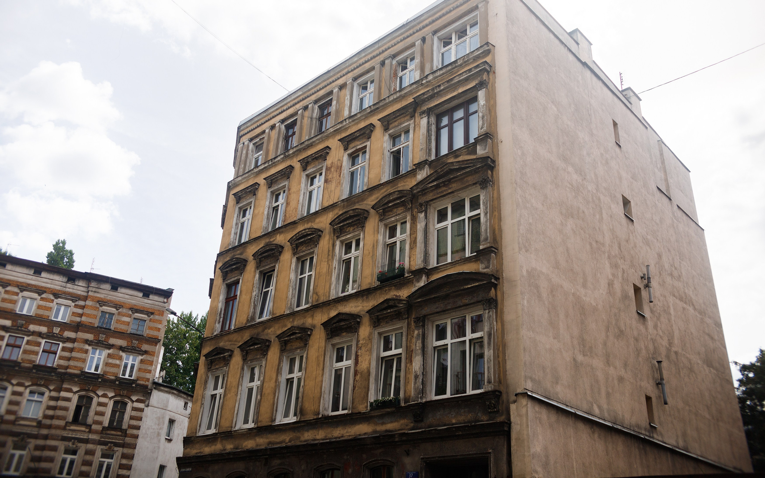 Wroclaw | the best ones. Kaja | fotograf psów we Wrocławiu