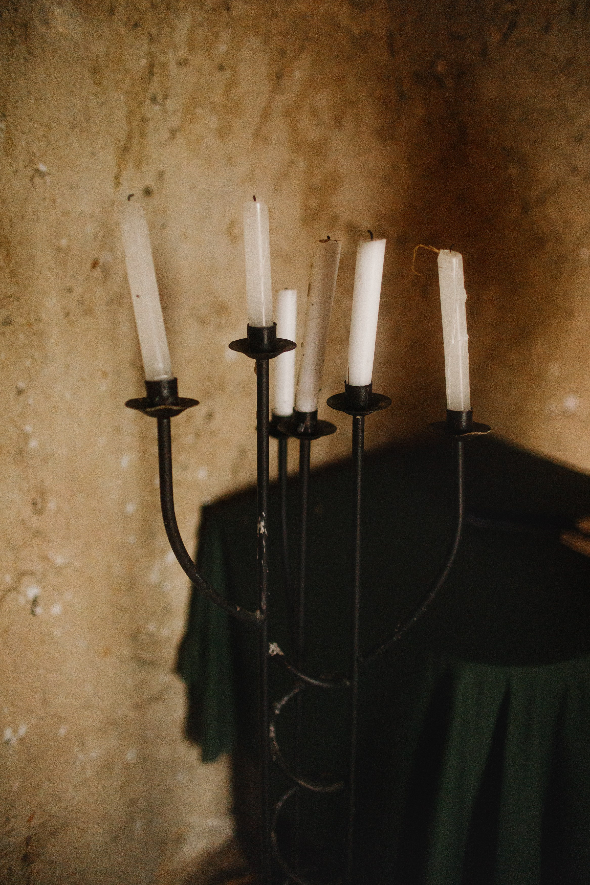 Zamek Grodziec. Kaja | fotograf psów we Wrocławiu