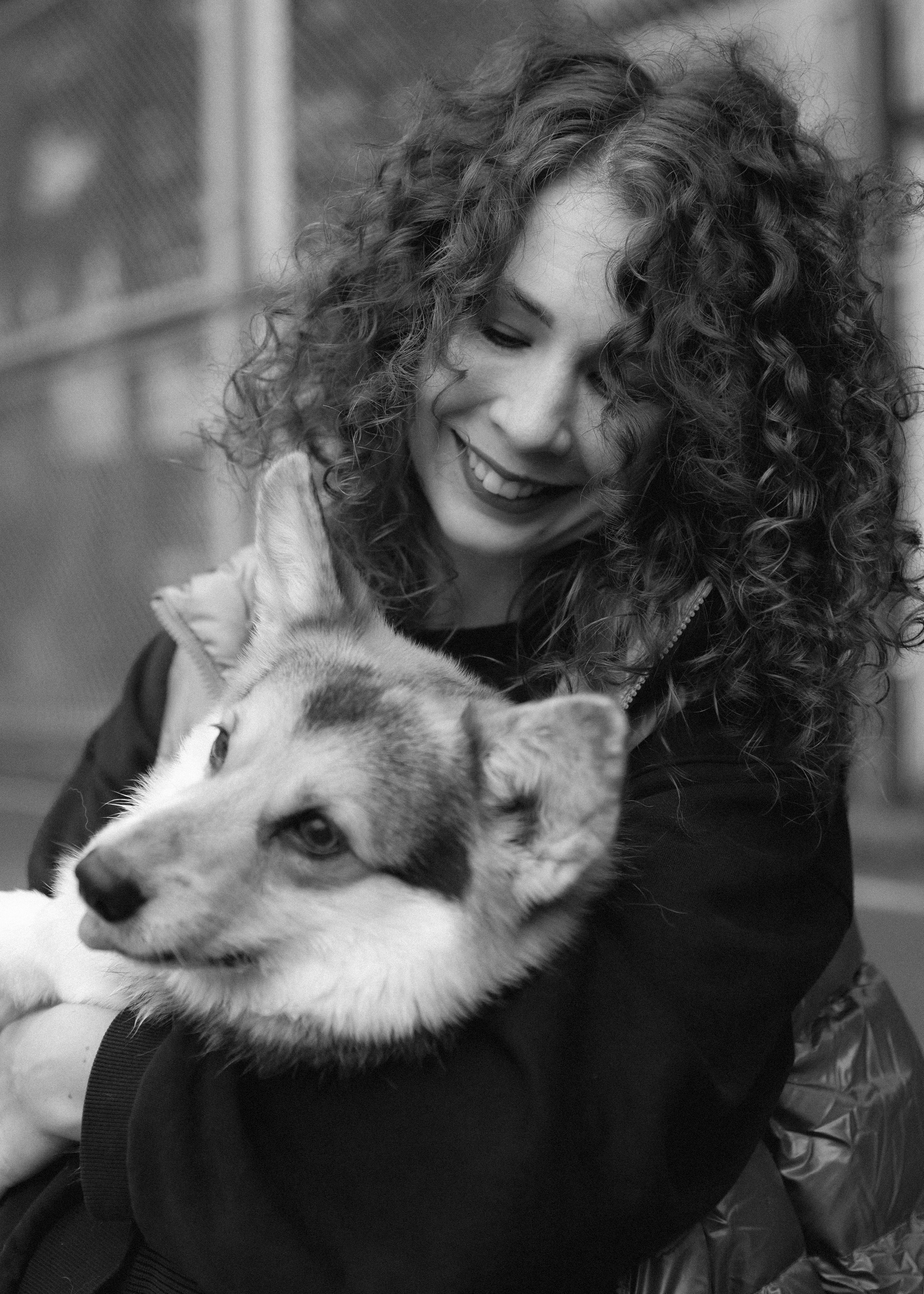 Sasha & Leonid. Kaja | fotograf psów we Wrocławiu