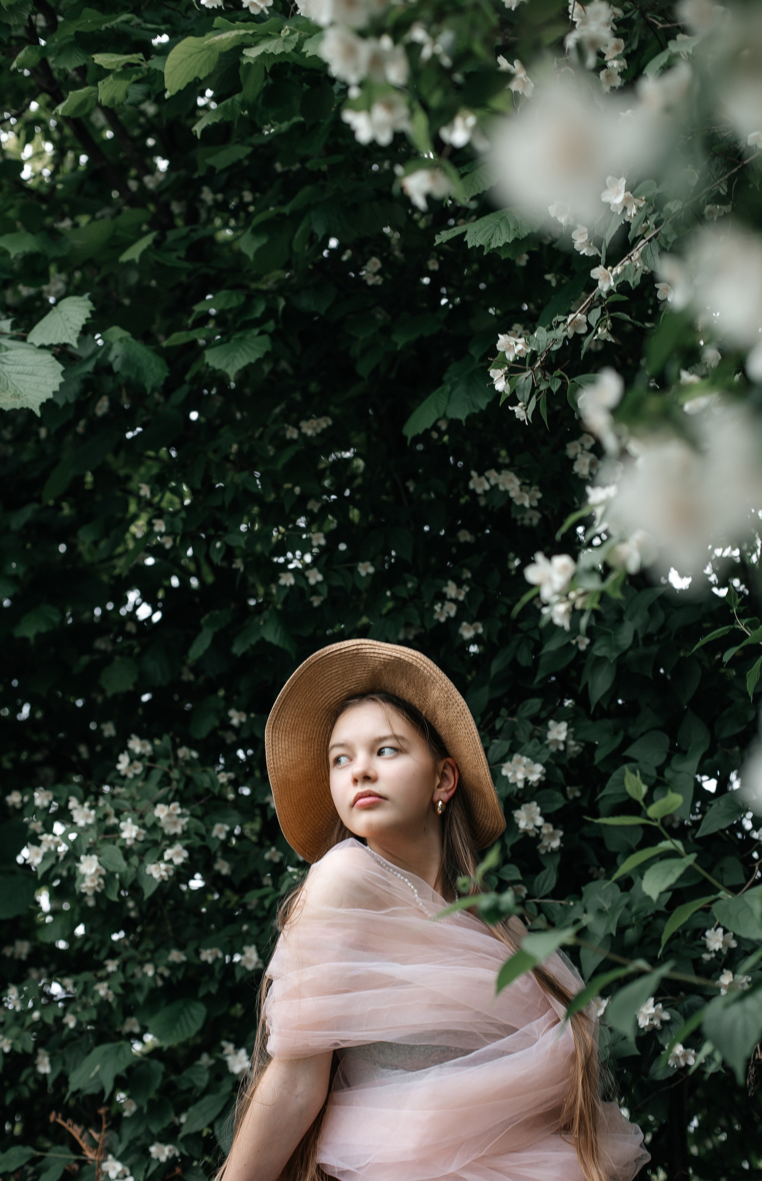 Foto in Jasmin. PHOTOgrapher Germany MARBURG