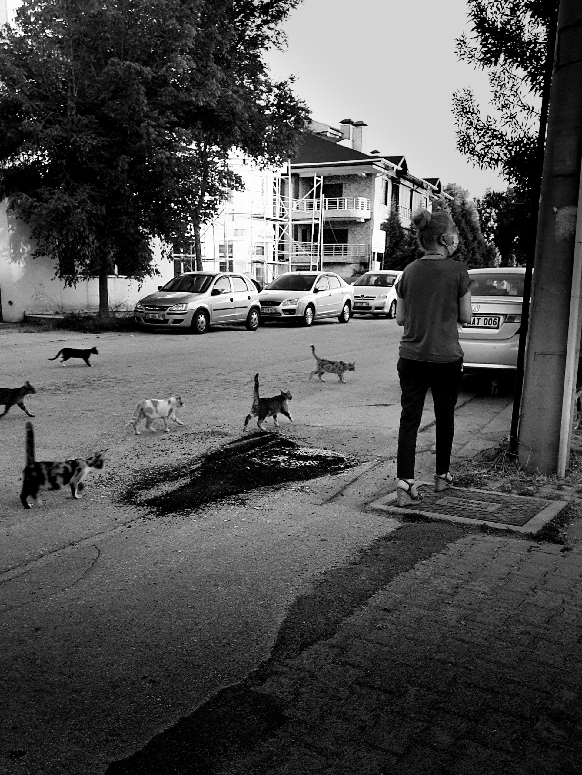 Street фото. Consultation on printing in various magazines, illustrations for books