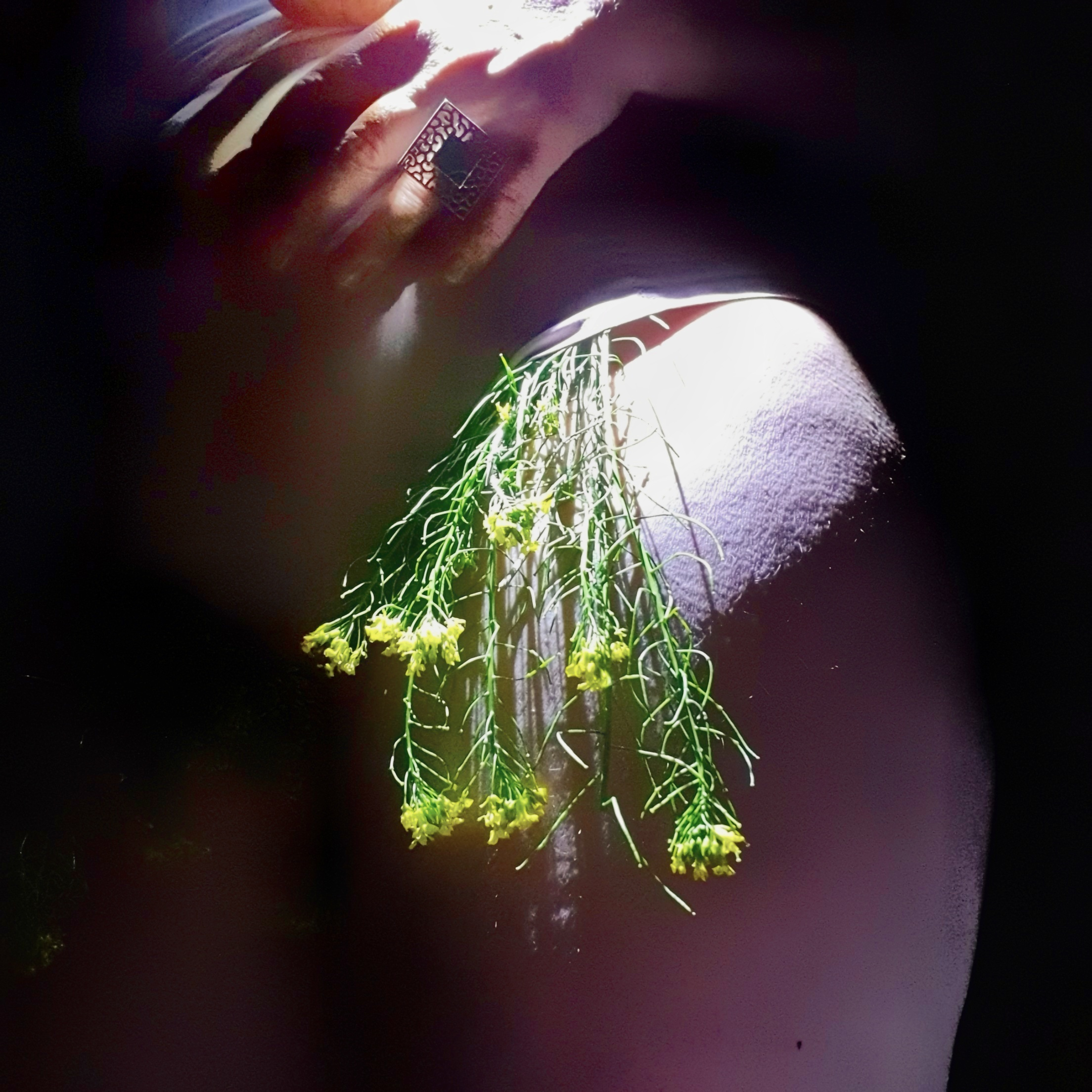 РАЗНОЕ. Современное искусство, глитч арт, glitch art