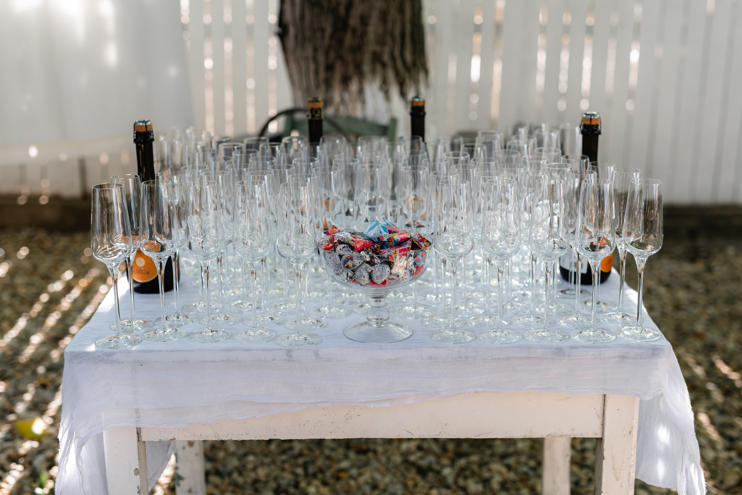 Natalia & Costin. Main