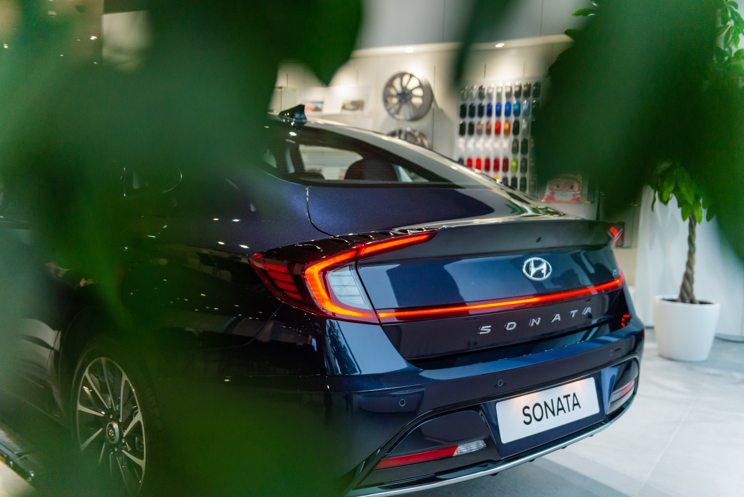 Закрытая презентация новой 8-й Hyundai Sonata. ФОТОГРАФ МЕКСИКА КИНТАНА-РОО