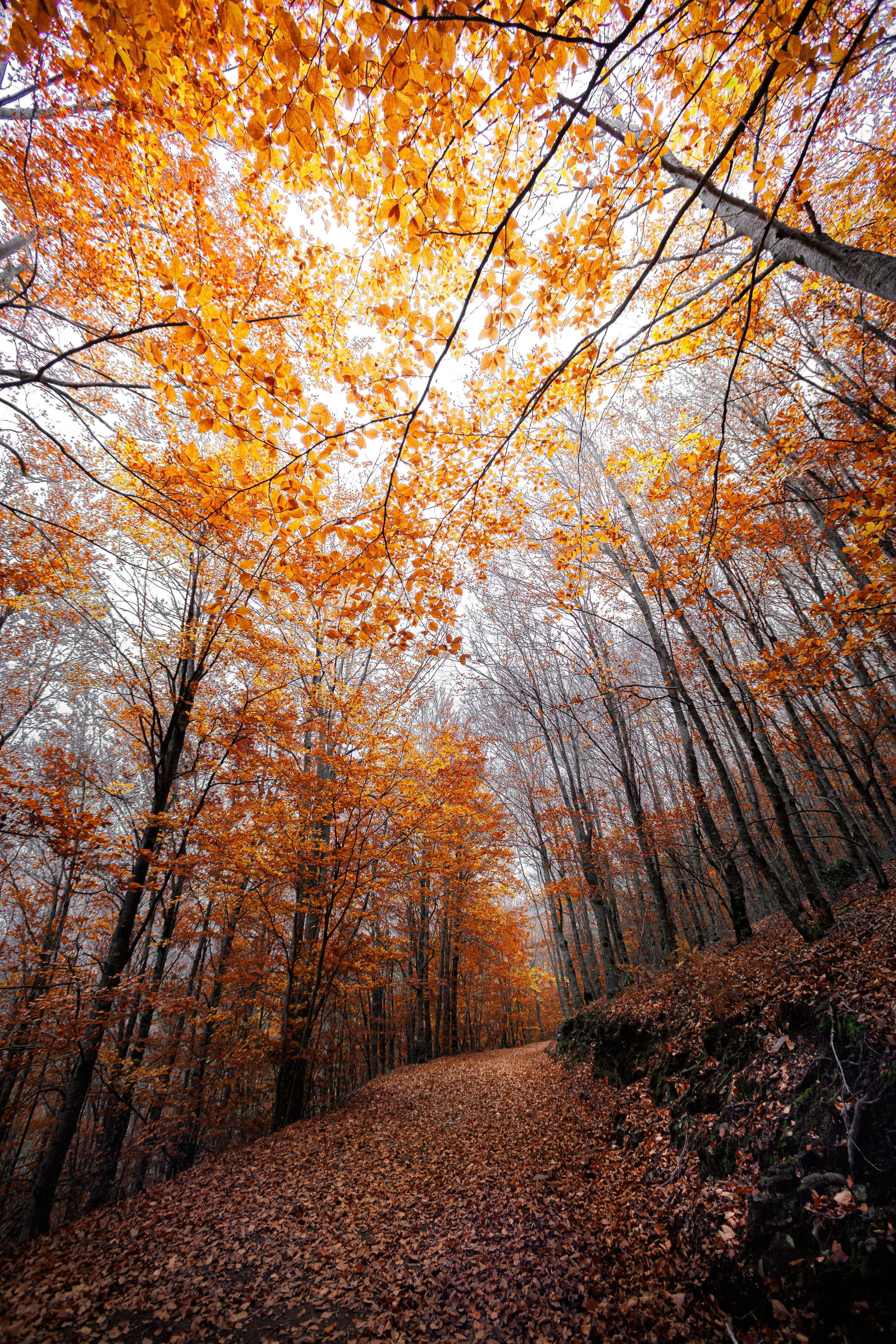 Fotografia de Natureza – Portfólio | Paulo Marques Photography. Paulo Marques Photography