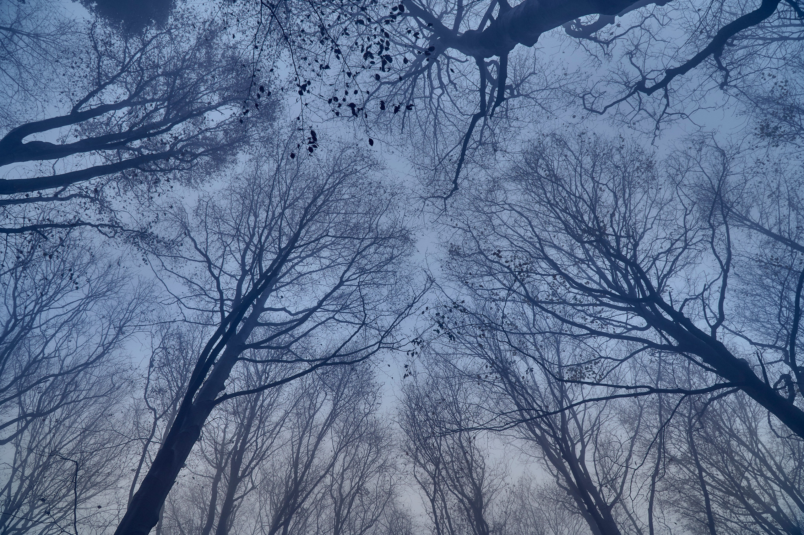 Бещады — здесь остановилось время. Андрей Шипилов — Фотография & Видеография