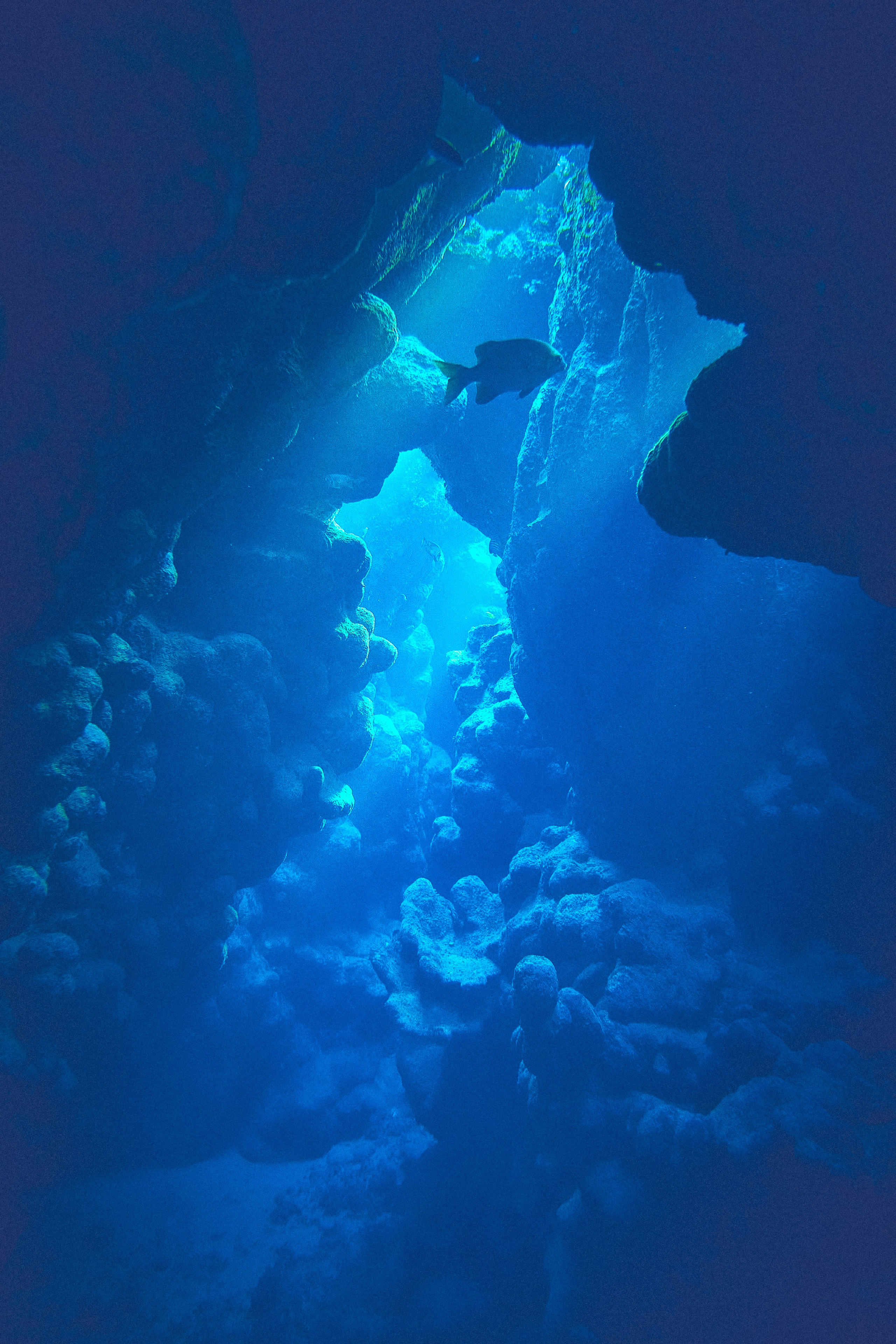 2023-11 - Diving Safari Deep South Egypt. Andriej Szypilow — Photography & Videography