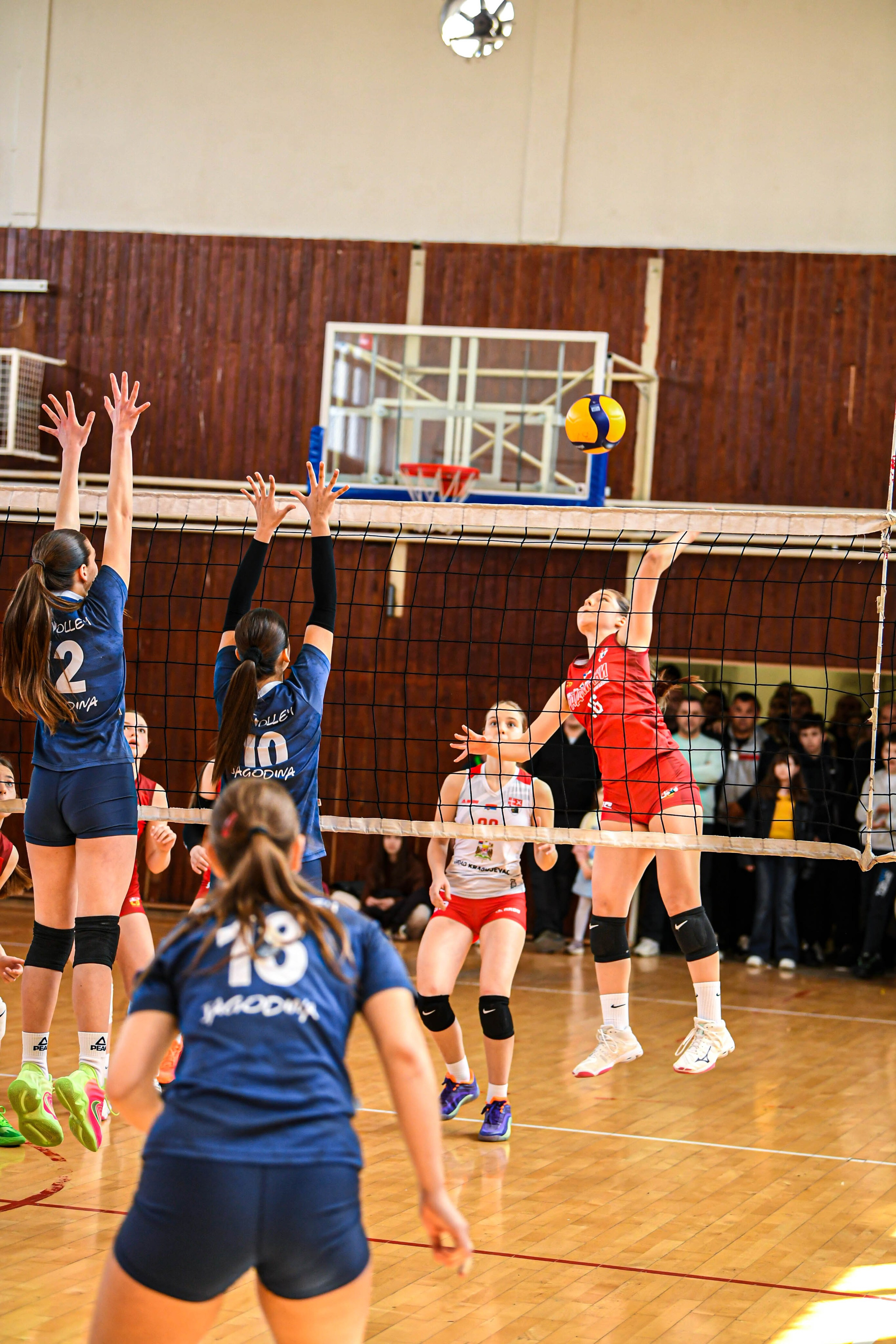 Odbojka 22.03.  Radnicki KG — BlockVolley JAG. Foto Simic Jagodina
