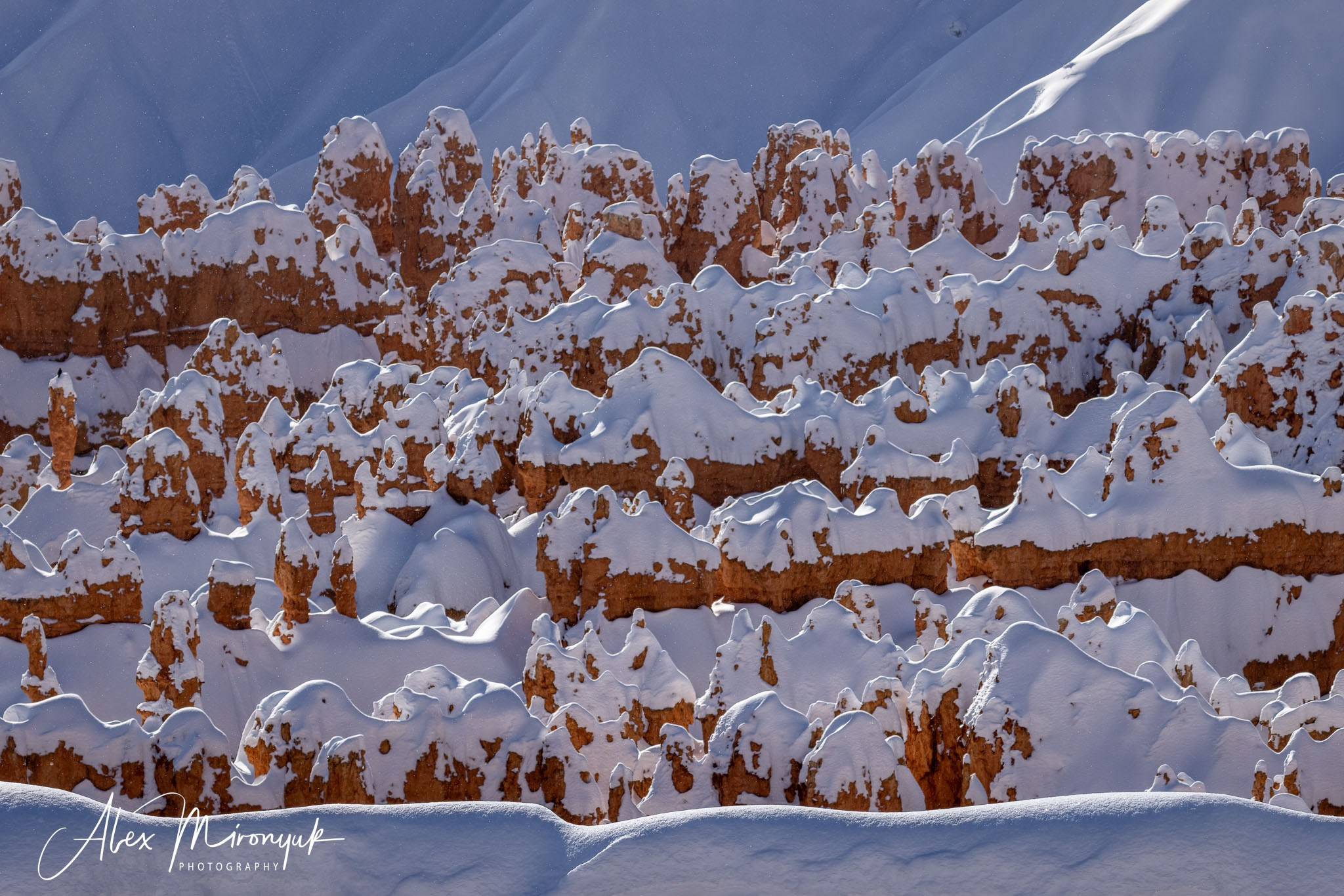 New Year In Utah. Pet, Senior, Landscape, portrait studio, photographer in Miami and Sou