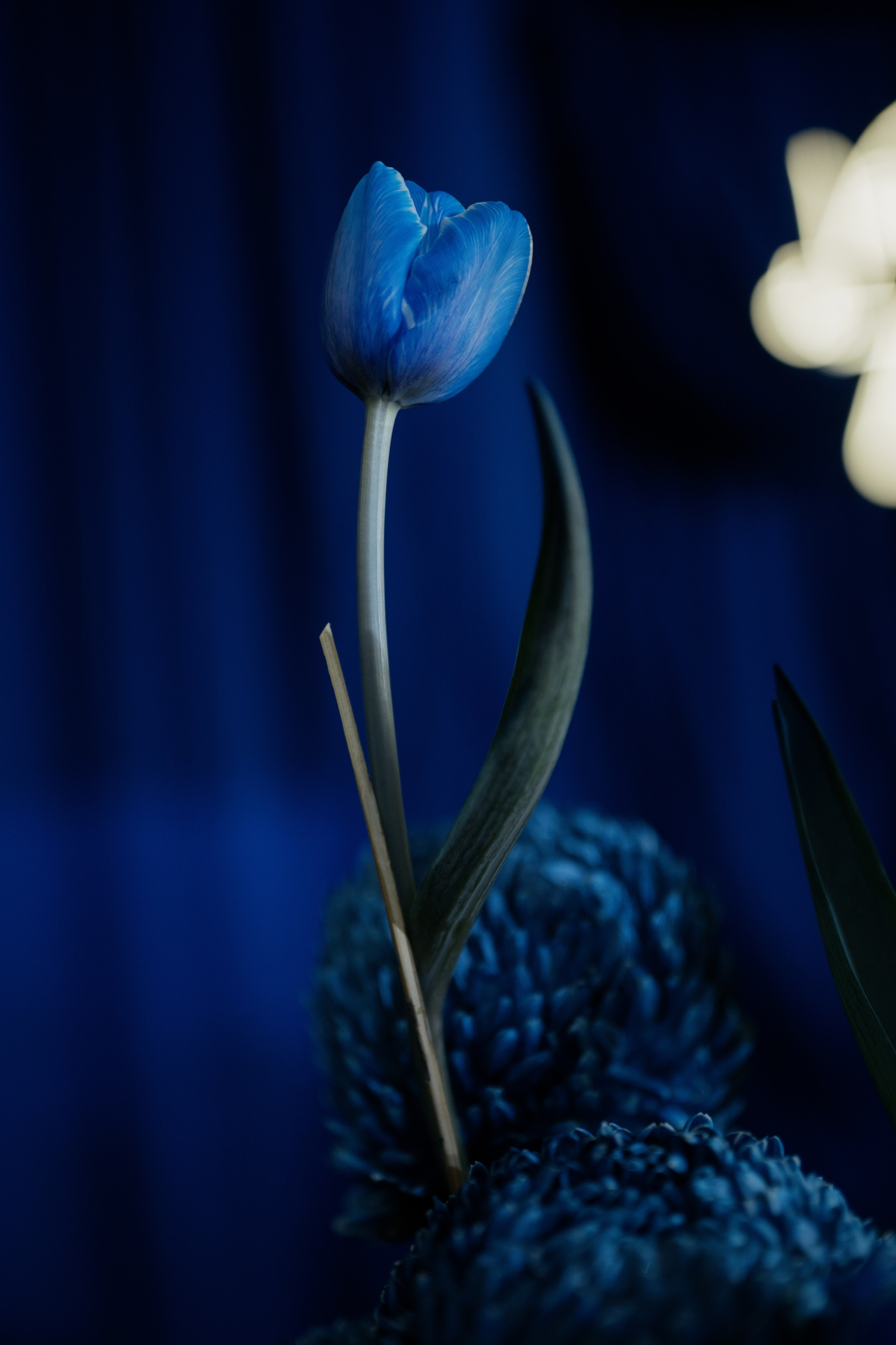 KHANG & TRANG / JW Mariot 08.11.2025. Saigon Wedding Present | Art Beyond Moments