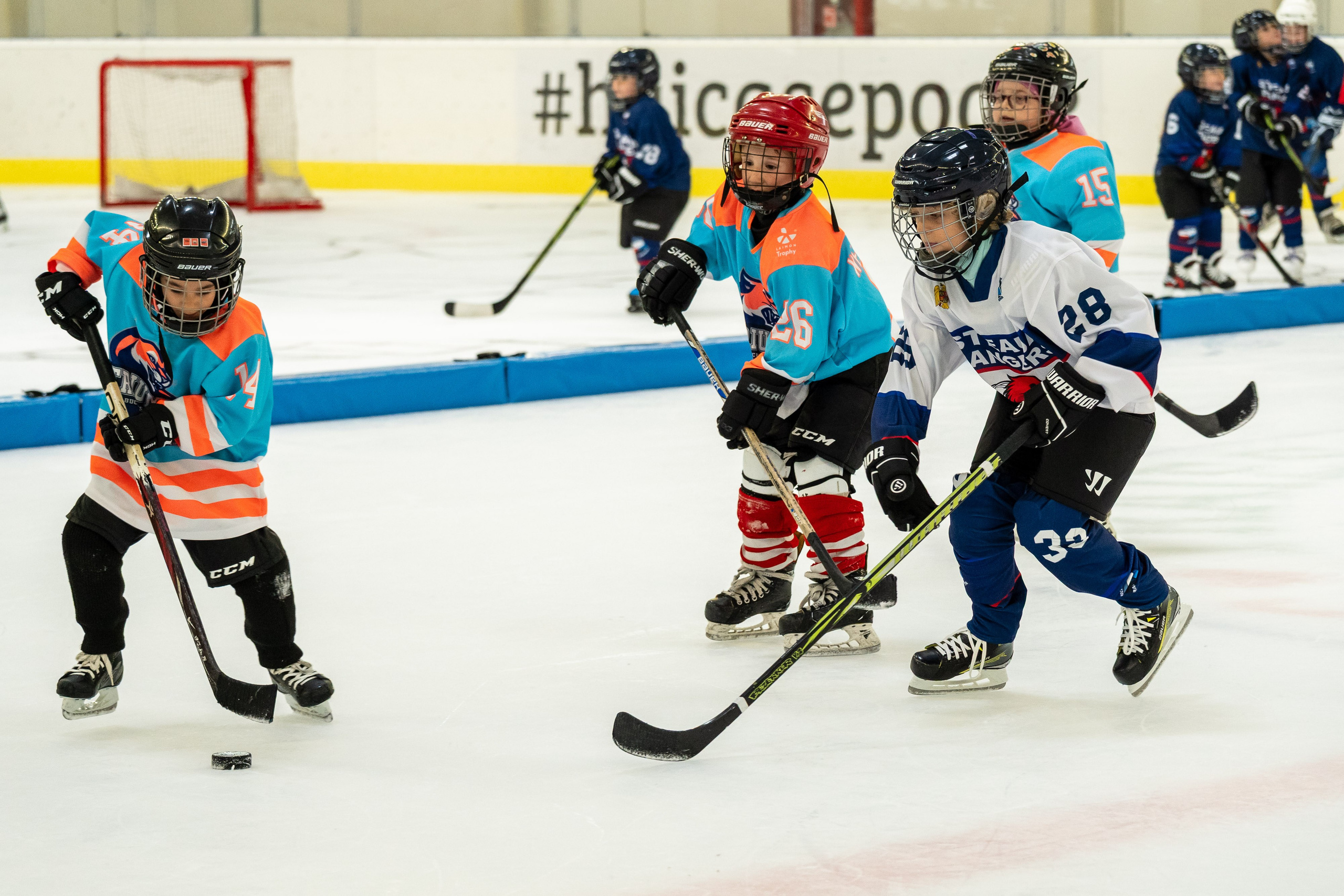 Eduard. Fotografiideplacere.net