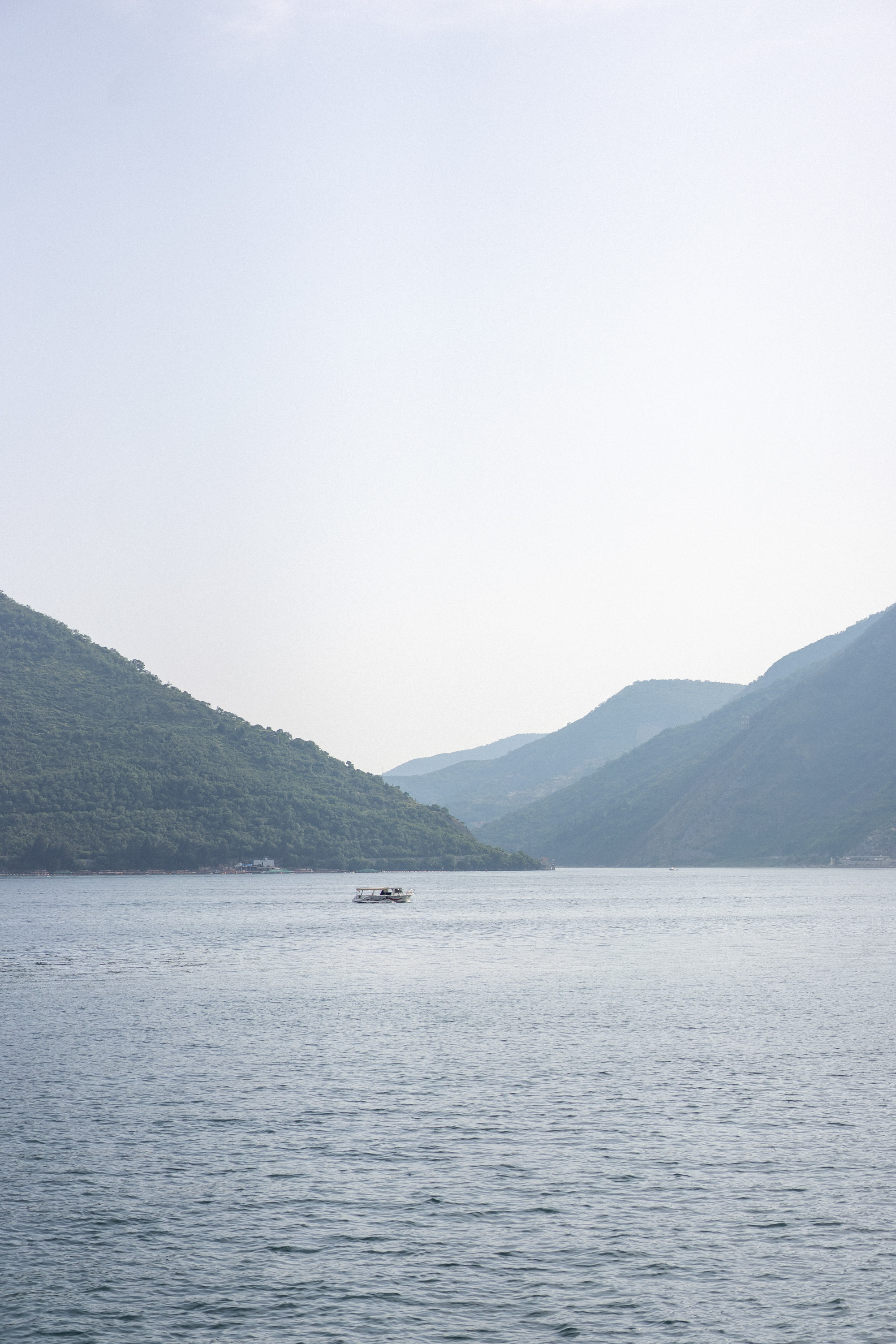 Proposal in Perast — Photographer Mariia Sosnina
