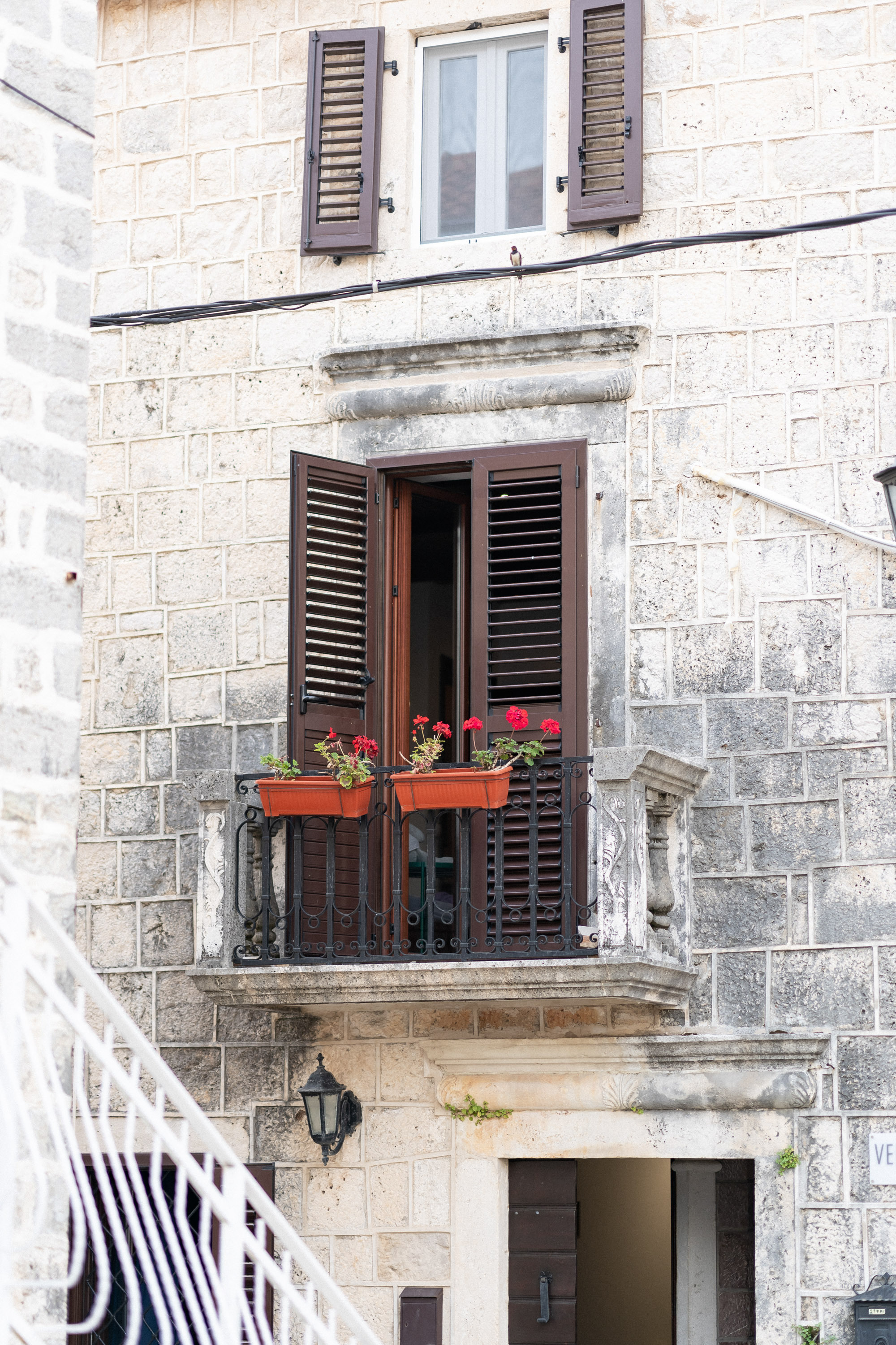 Proposal in Perast — Photographer Mariia Sosnina