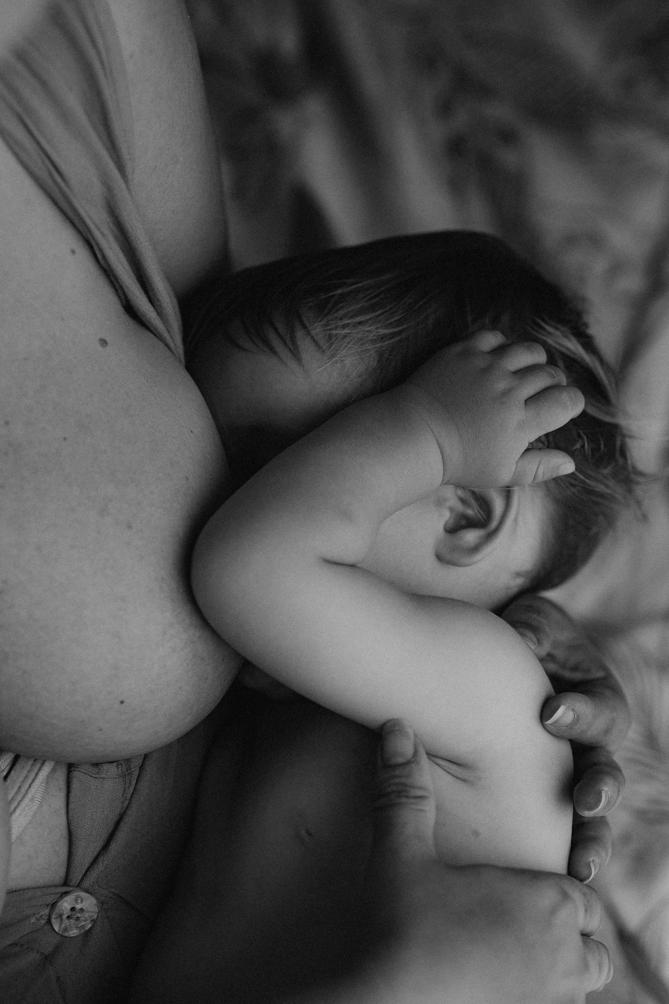 Ivan + Julia = DimaLidaSasha. Fotografa de família e crianças em Florianópolis SC Daria Ermolaev