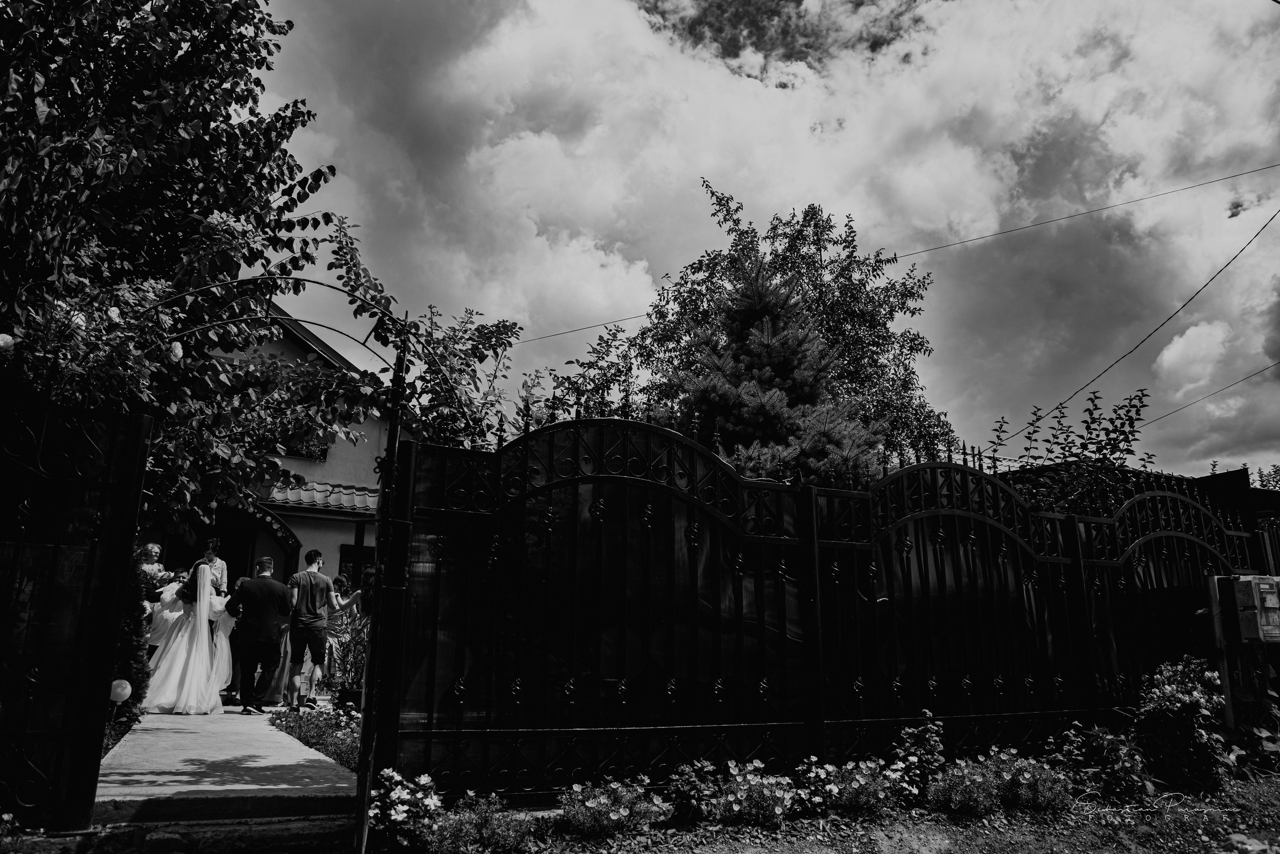 Andreea & Mădălin. Sebastian Purusniuc Fotograf - Iasi