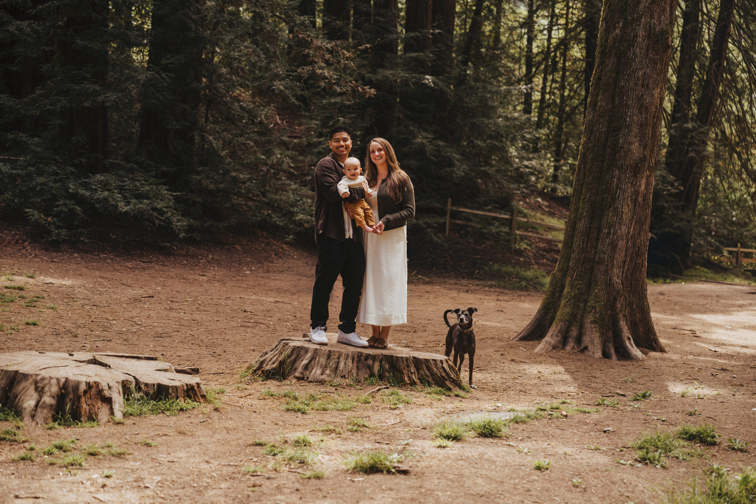 Redwoods Oakland. Wedding family photographer and videographer California San Francisco Bay Area