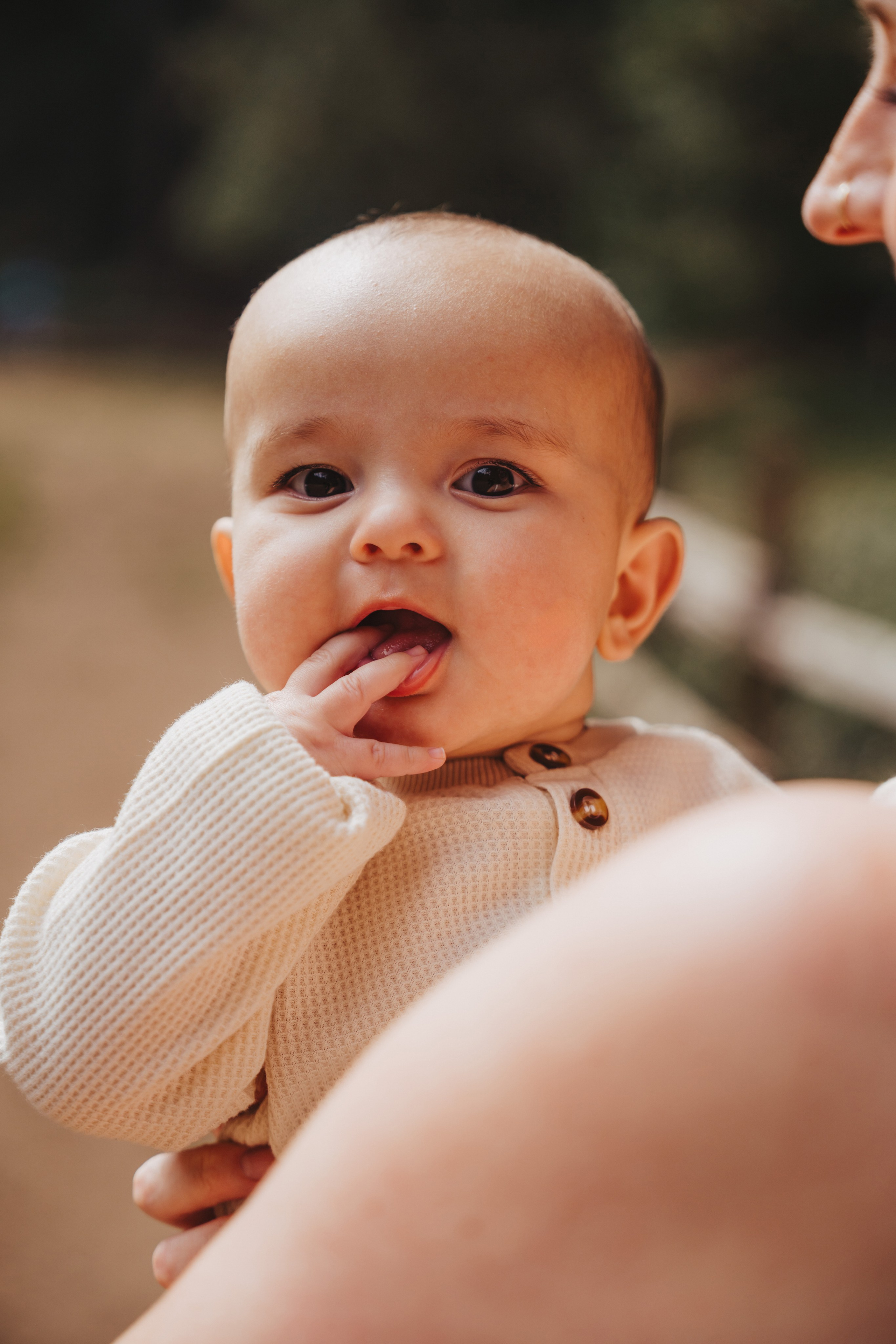 Redwoods Oakland. Wedding family photographer and videographer California San Francisco Bay Area