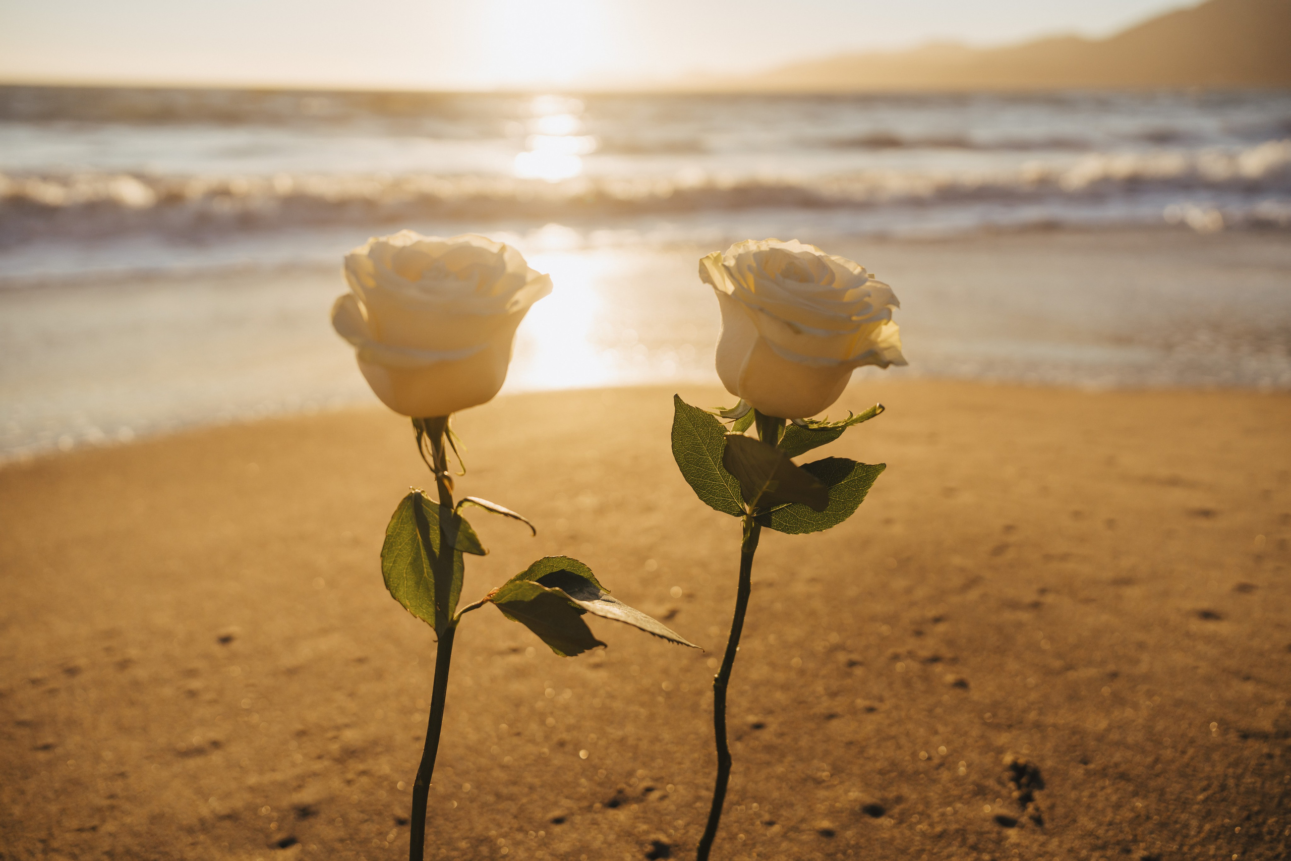 Marshall’s Beach. Wedding family photographer and videographer California San Francisco Bay Area