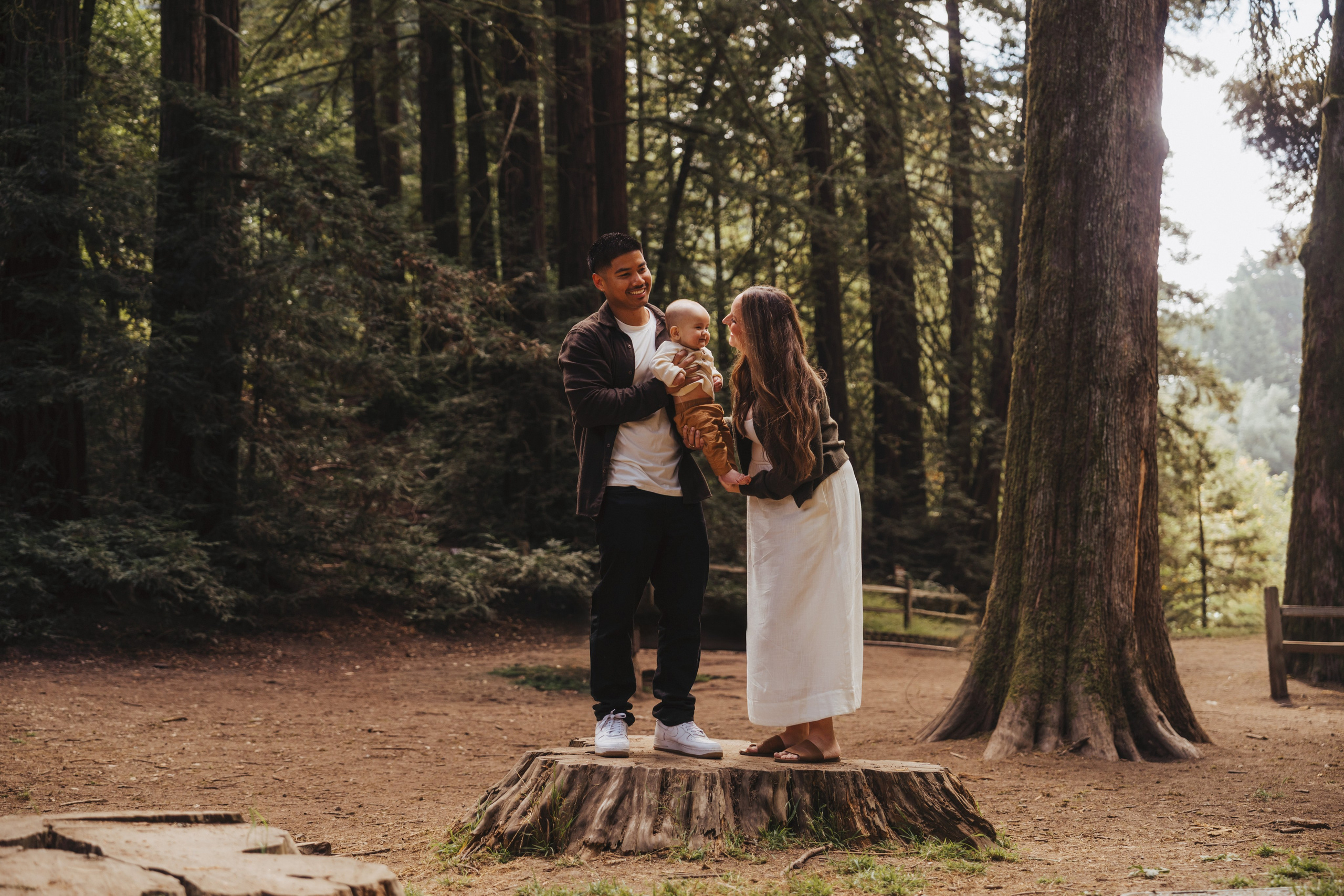 Redwoods Oakland. Wedding family photographer and videographer California San Francisco Bay Area