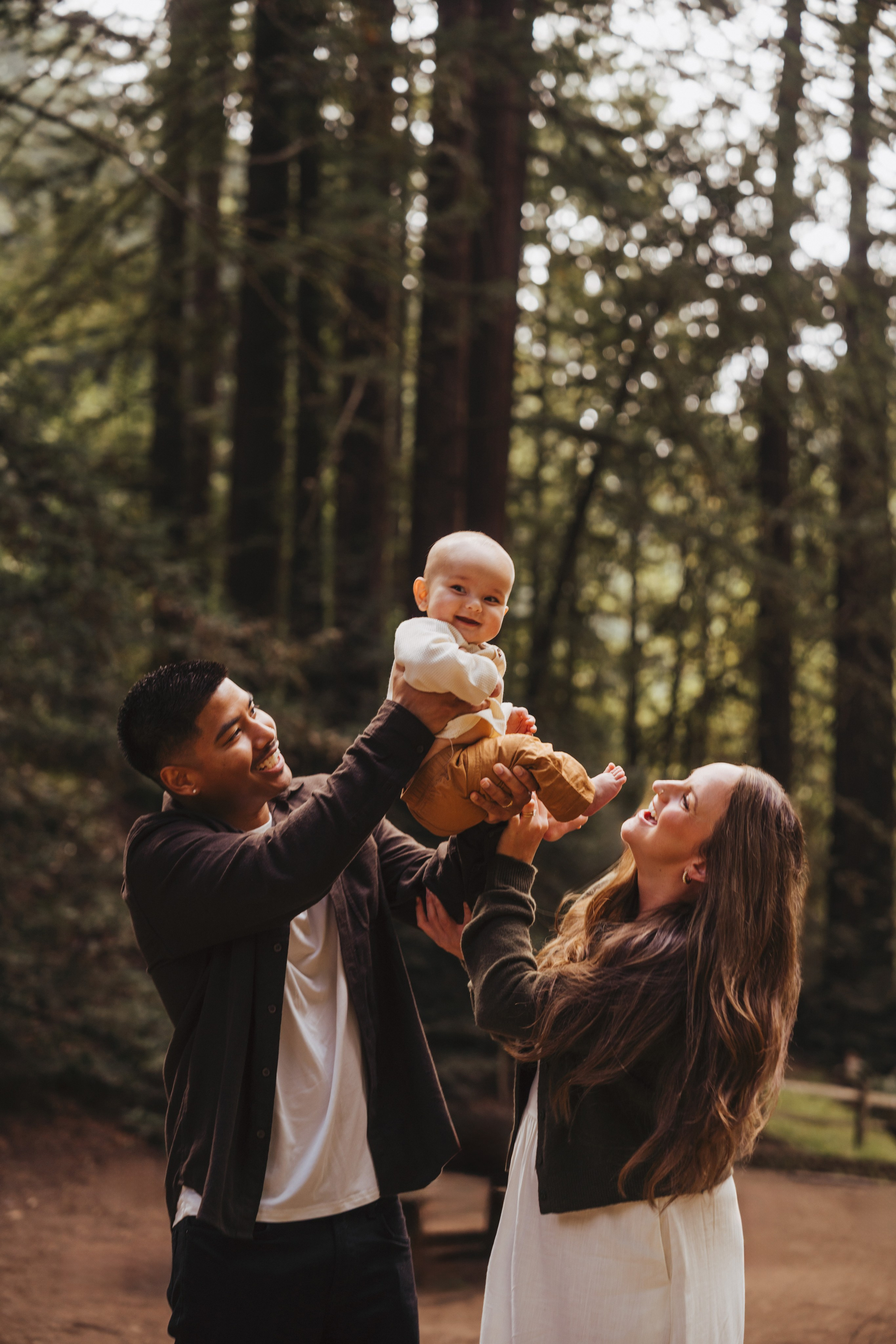Redwoods Oakland. Wedding family photographer and videographer California San Francisco Bay Area