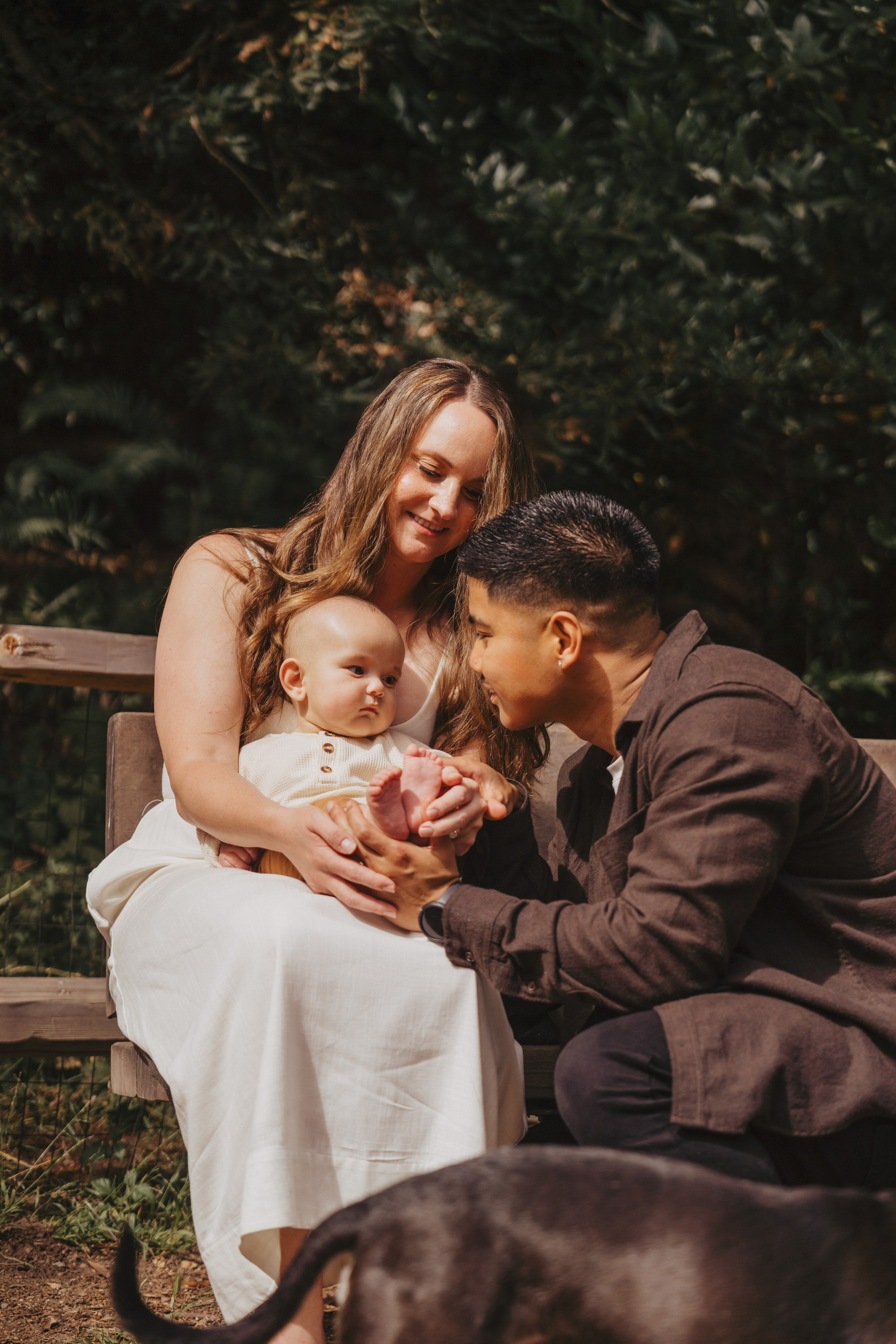 Redwoods Oakland. Wedding family photographer and videographer California San Francisco Bay Area