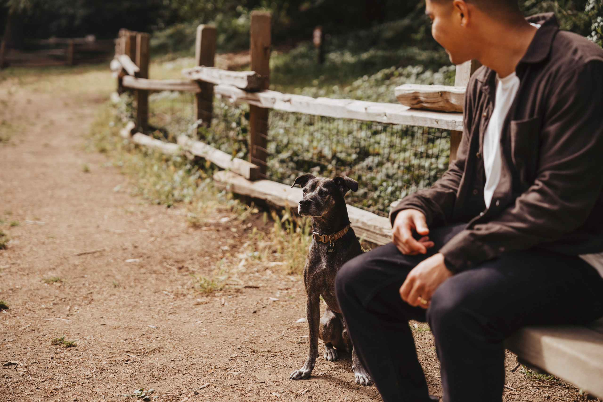 Redwoods Oakland. Wedding family photographer and videographer California San Francisco Bay Area