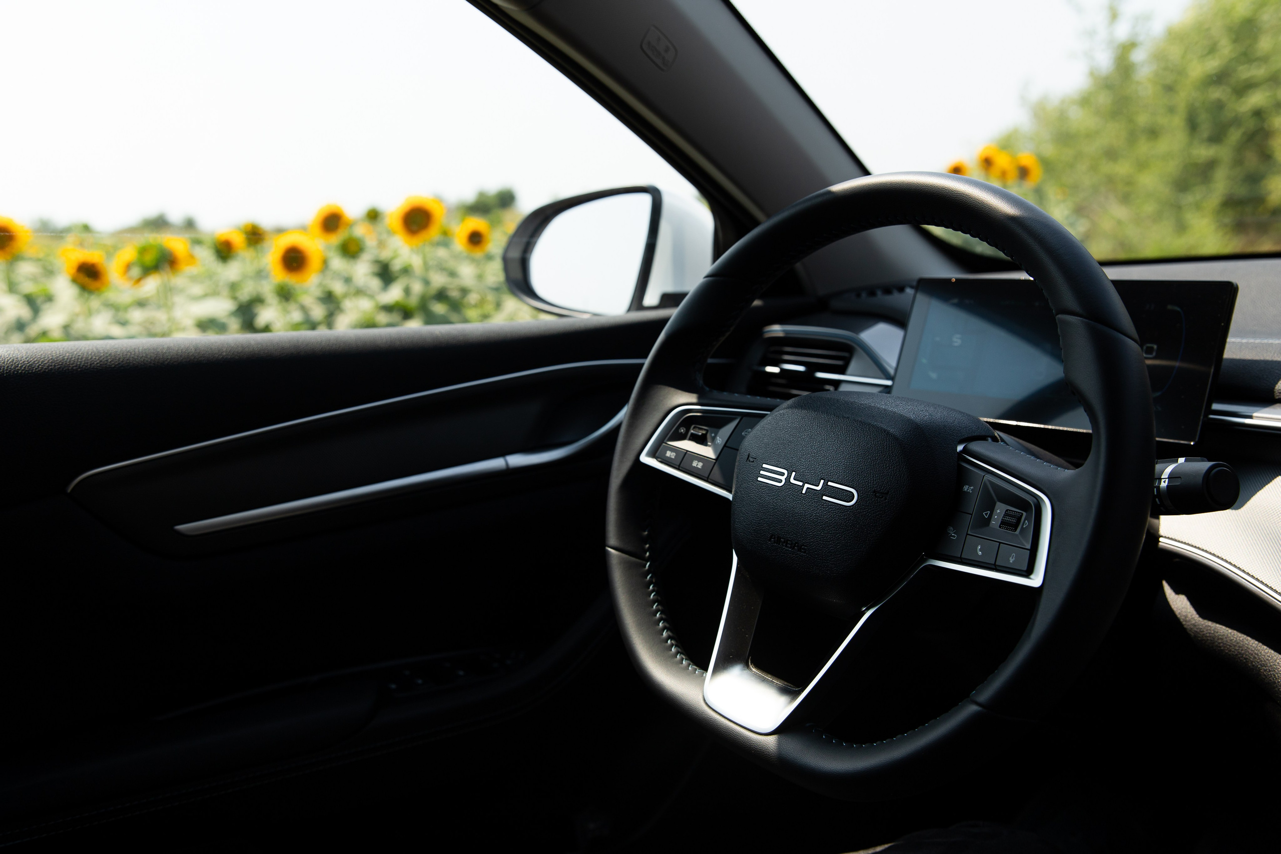 Taxi „Letz”. Fotograf și Videograf | Chișinău, Moldova