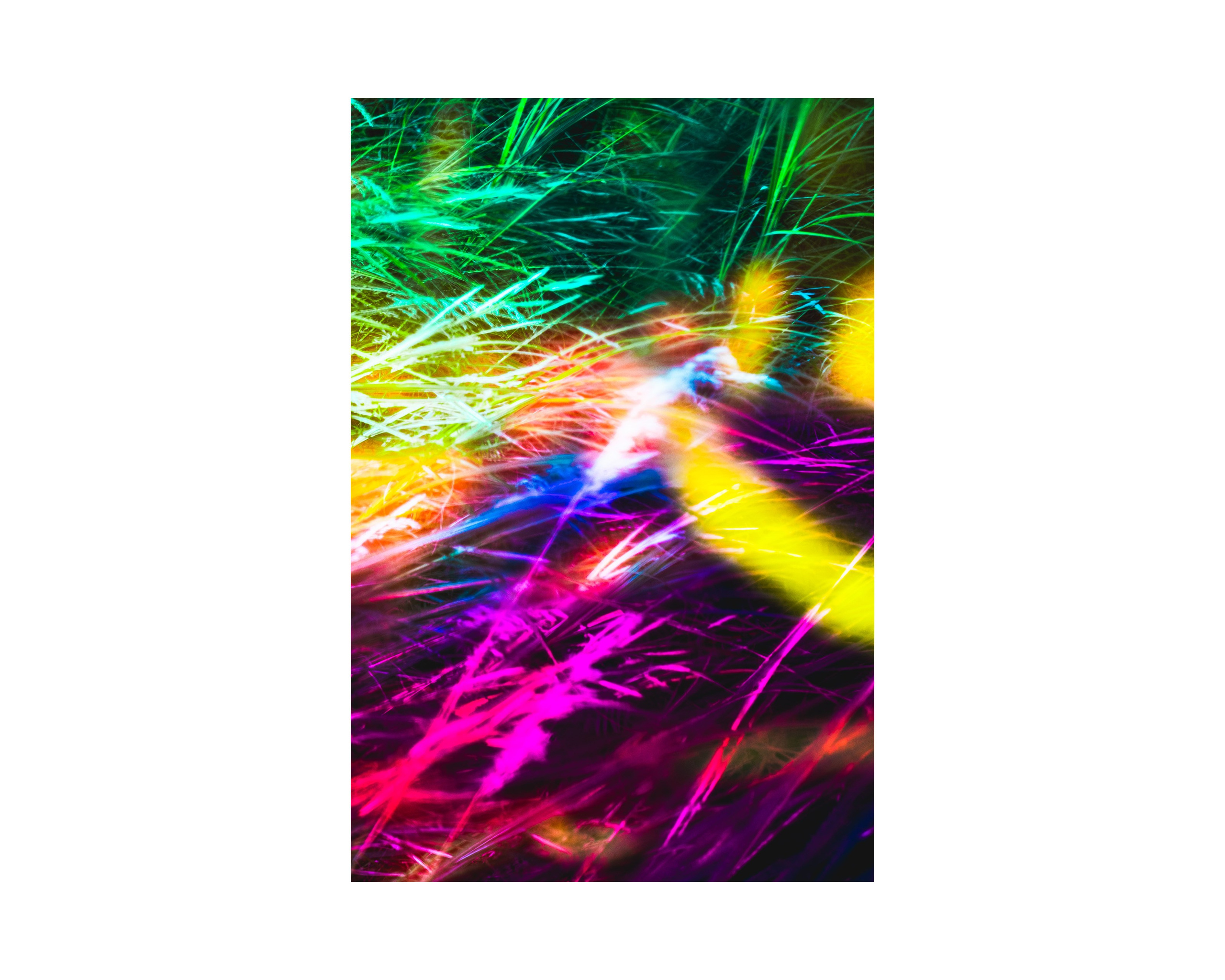 Nature from Exaggerated Worlds. Ekaterina Tsurkina-Appina Photography Canada