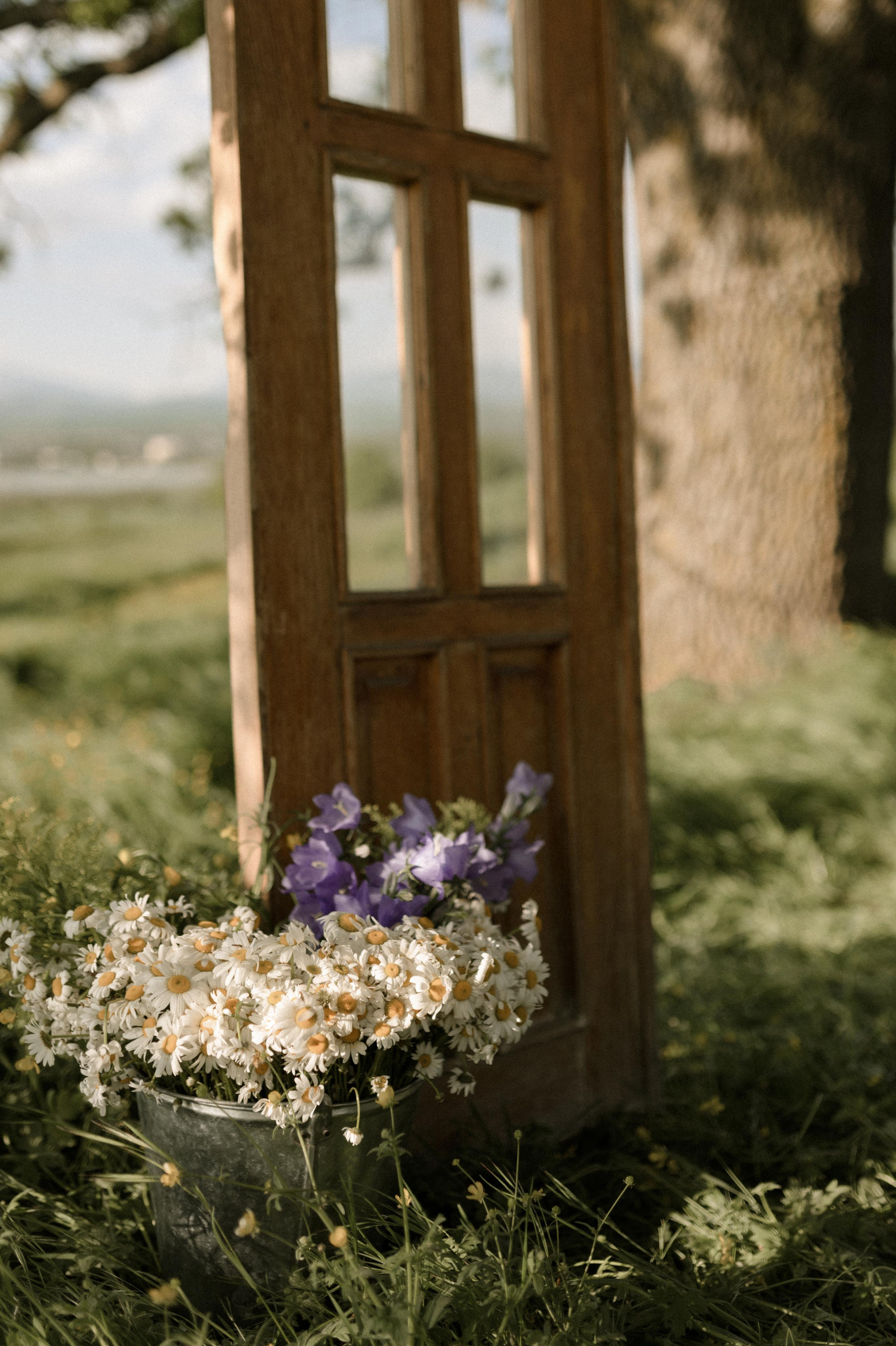 Ksusha and Andrei, Salty Garden. Wedding photographer in Georgia, Tbilisi Arina Krasnikova
