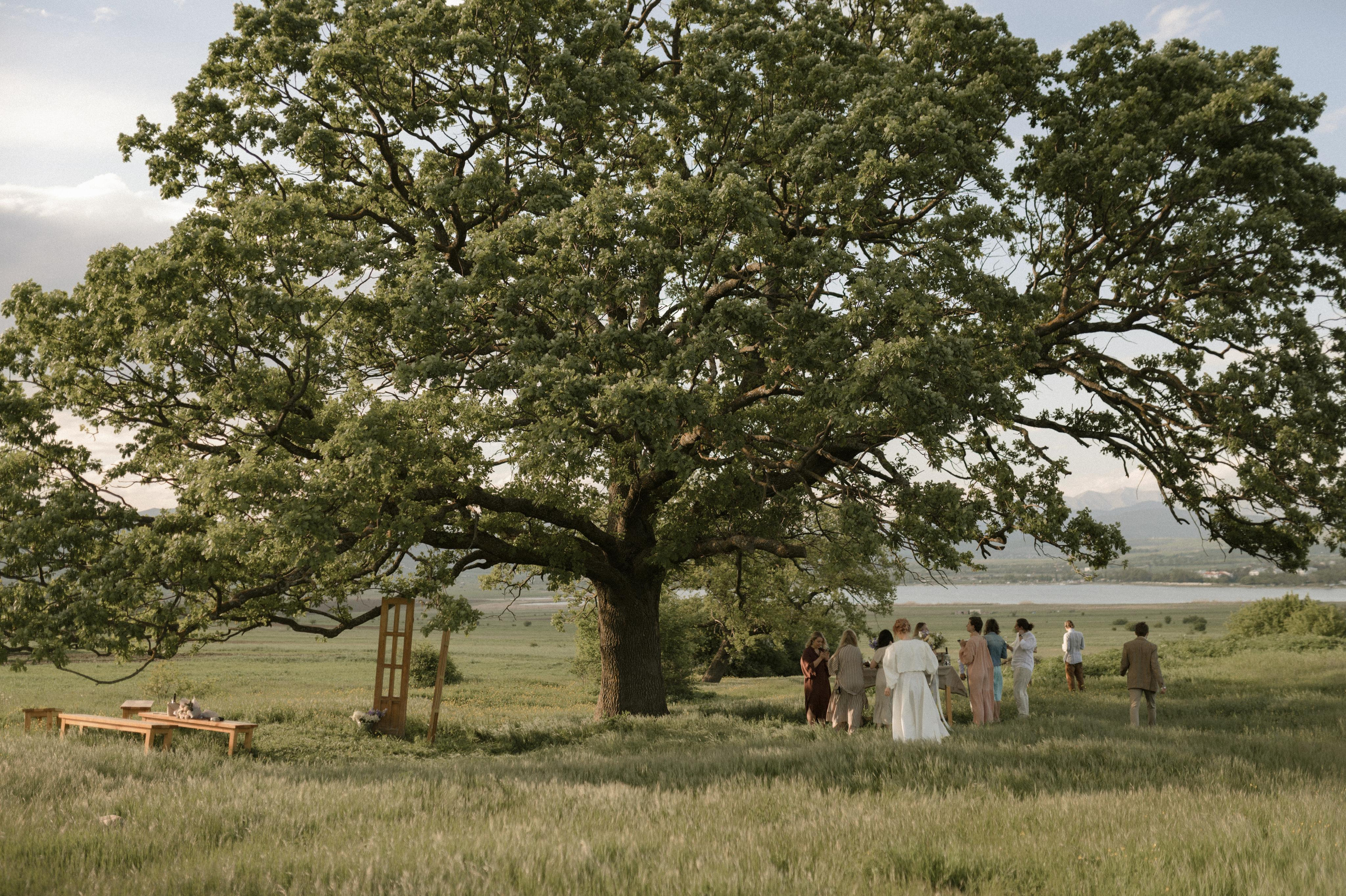 Ksusha and Andrei, Salty Garden. Wedding photographer in Georgia, Tbilisi Arina Krasnikova